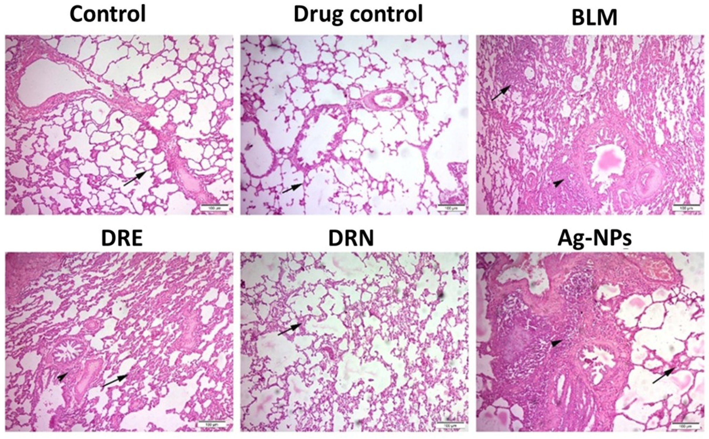 Medicina 58 01719 g002 Medicina 58 01719 g002