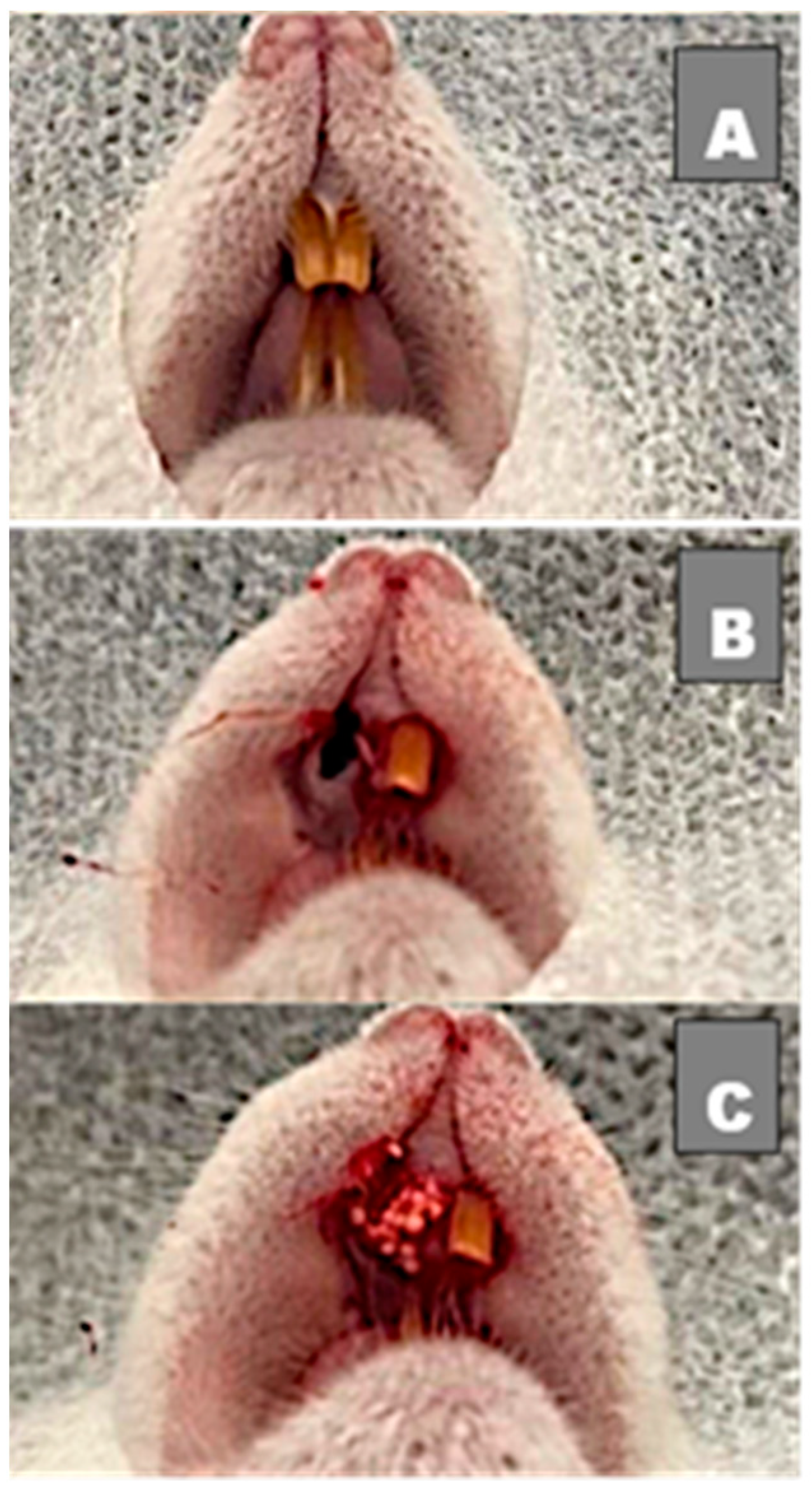 Medicina 58 01720 g001