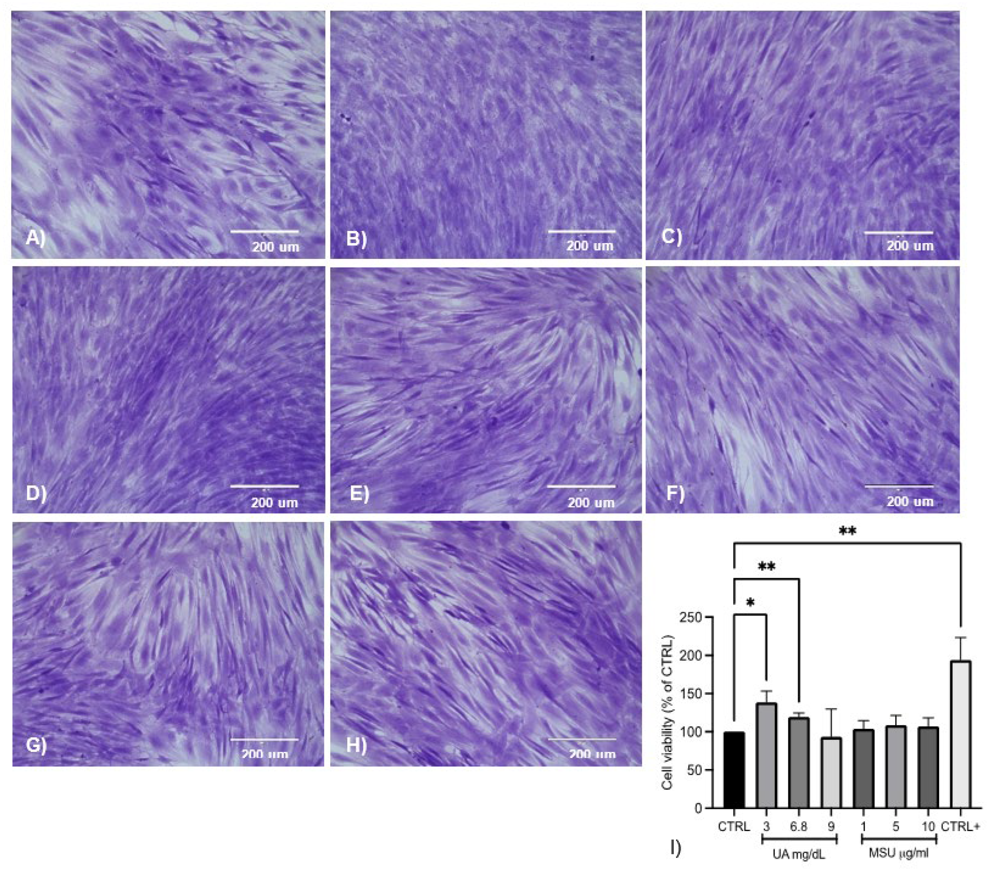 Medicina 58 01724 g002