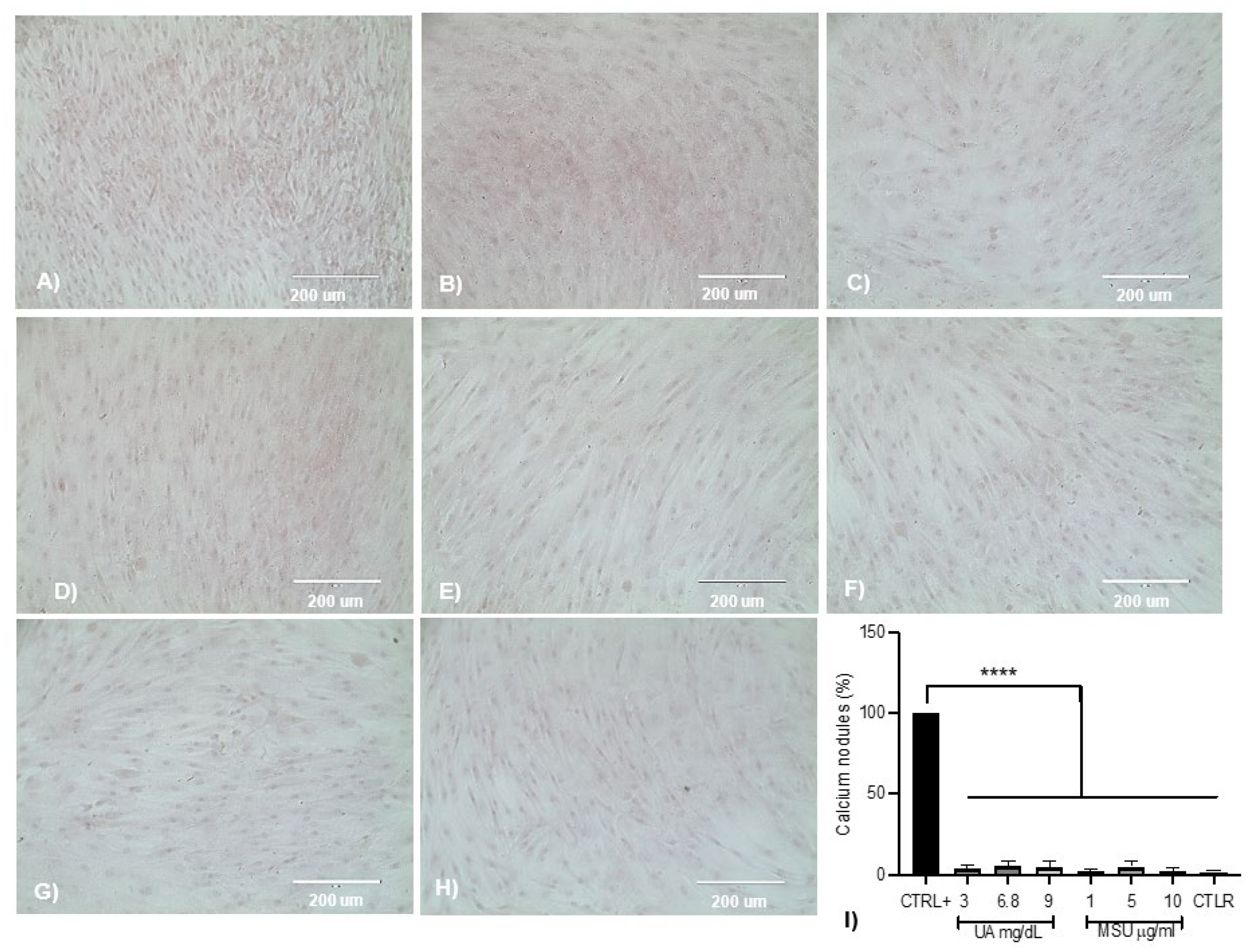 Medicina 58 01724 g003