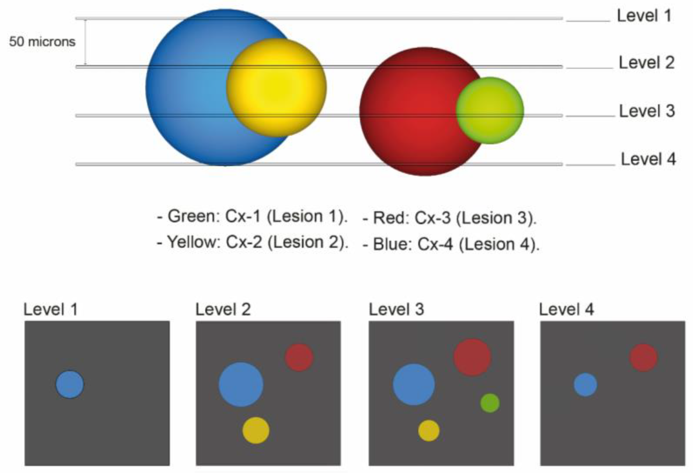 Medicina 58 01725 g001 Medicina 58 01725 g001