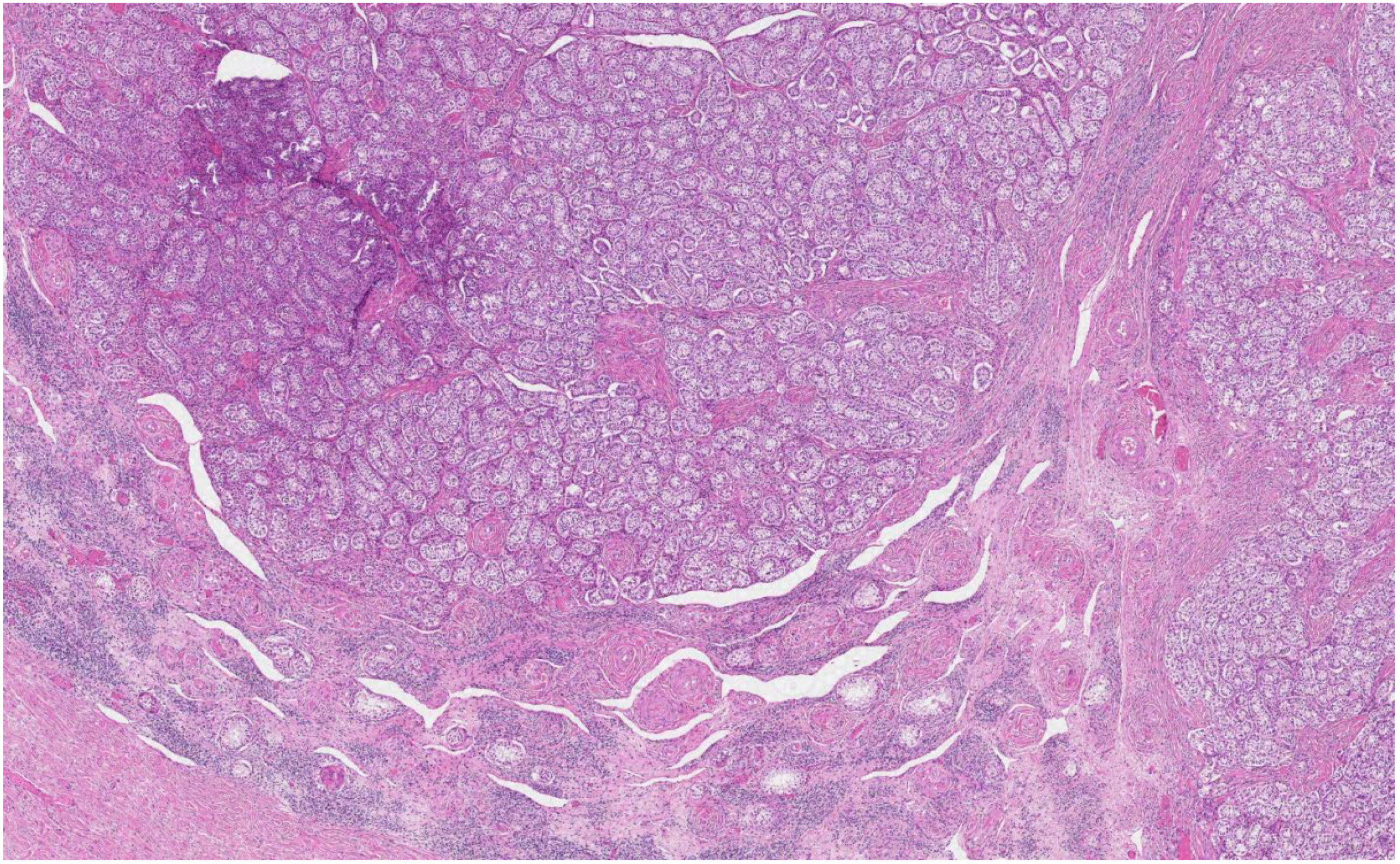 Medicina 58 01736 g003