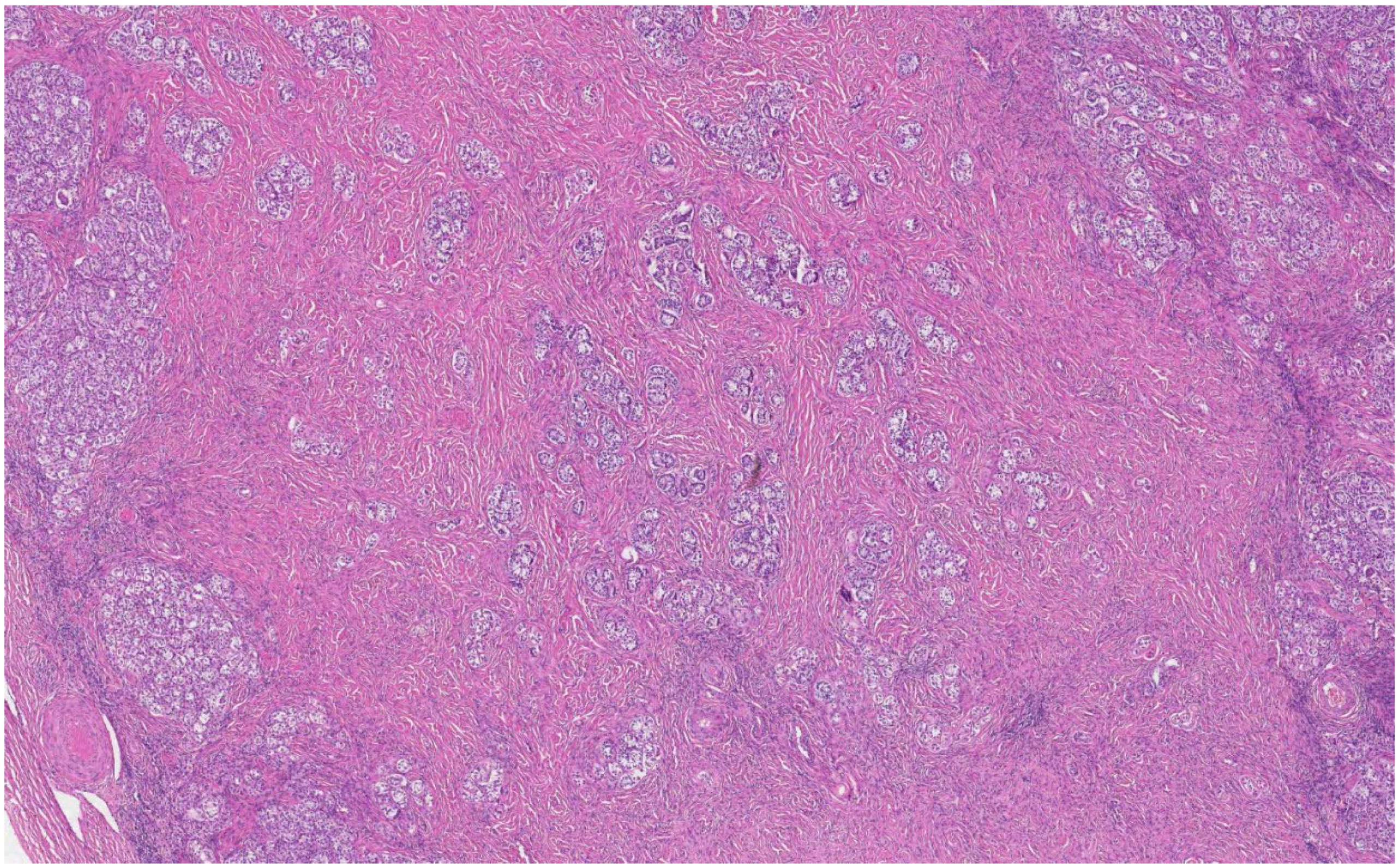 Medicina 58 01736 g006