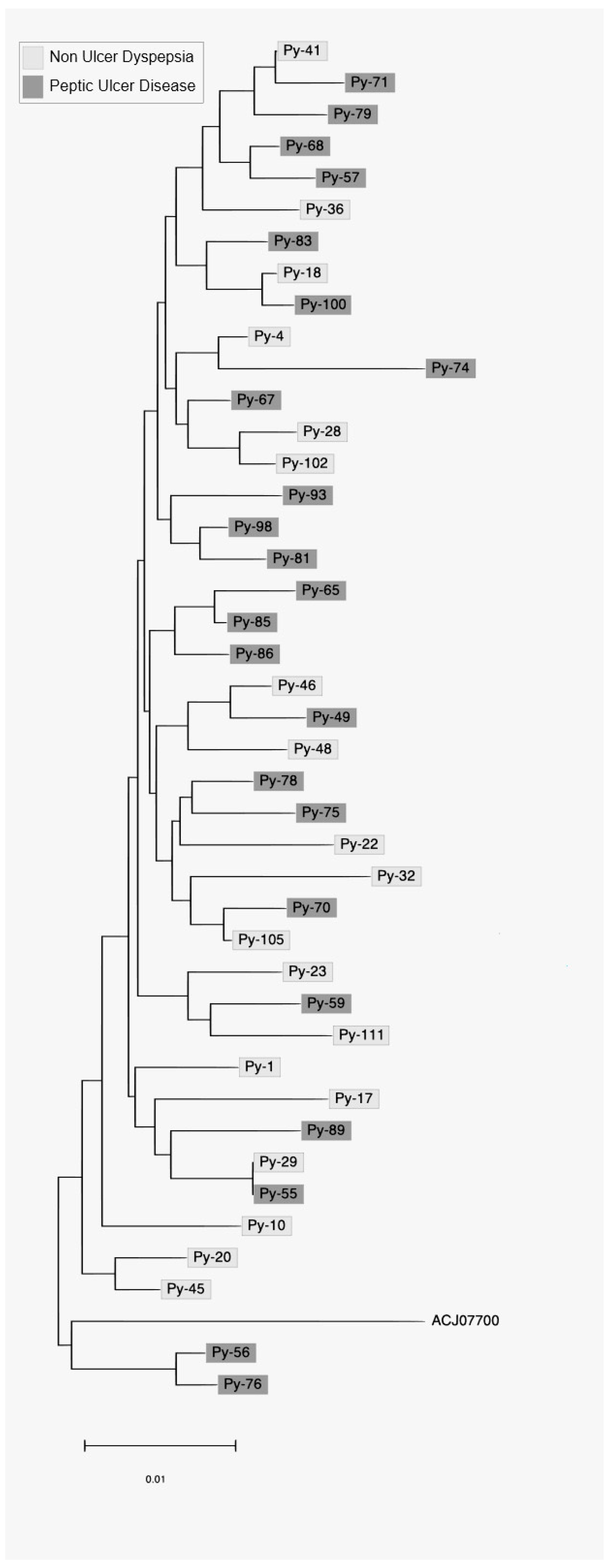 Medicina 58 01738 g001 Medicina 58 01738 g001