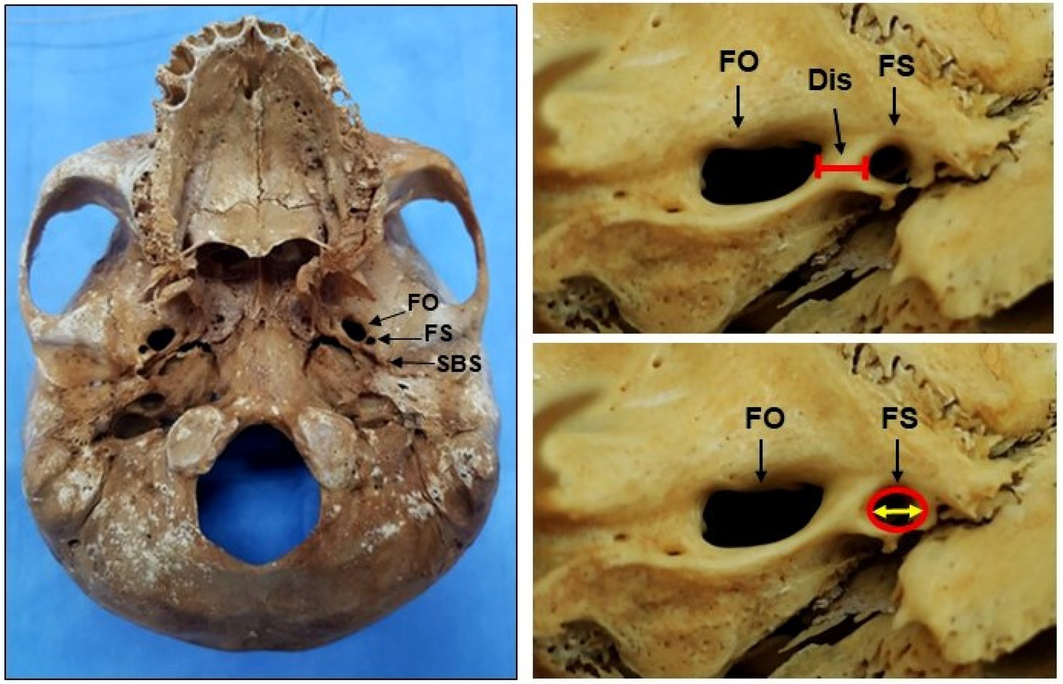 Medicina 58 01740 g002