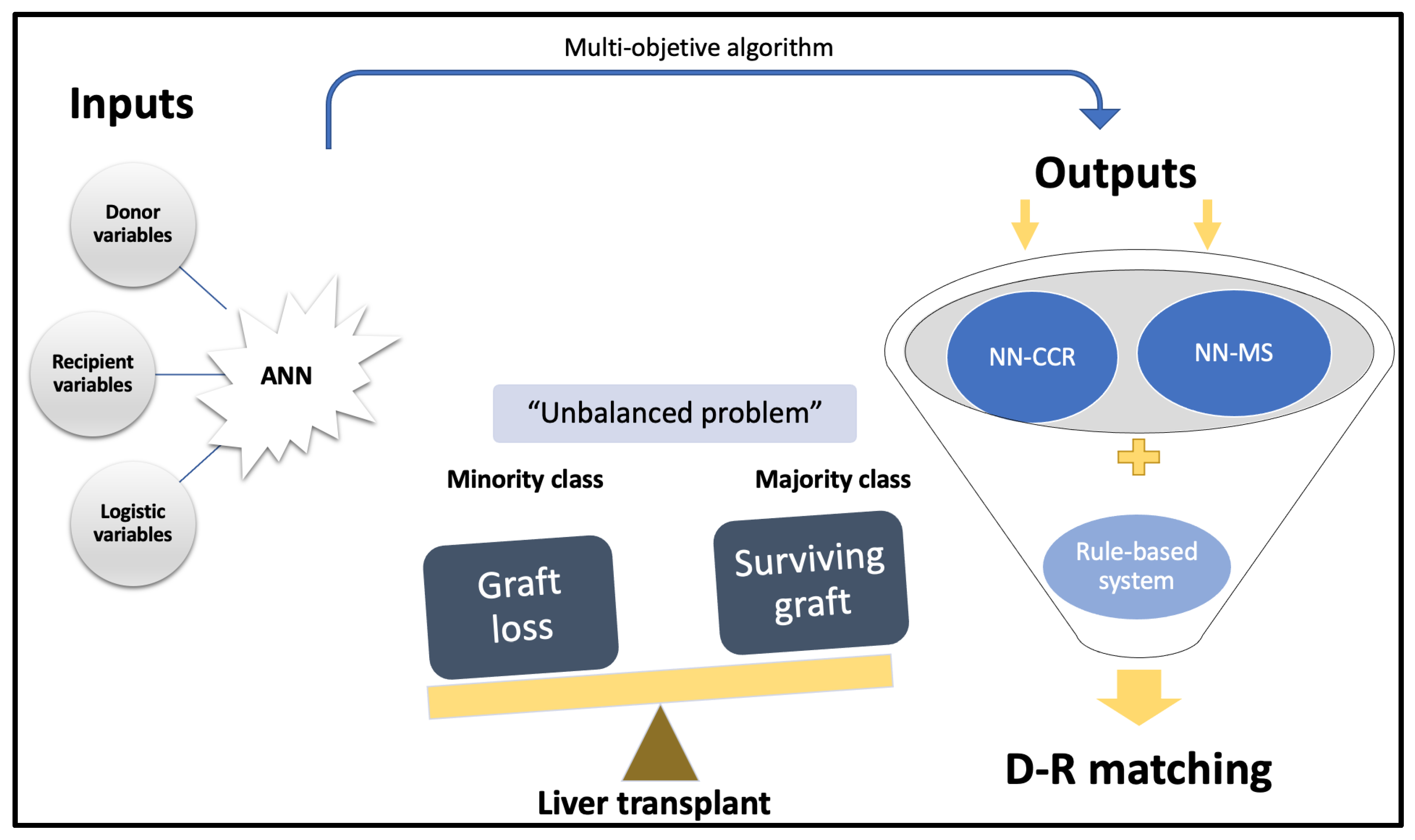 Medicina 58 01743 g003