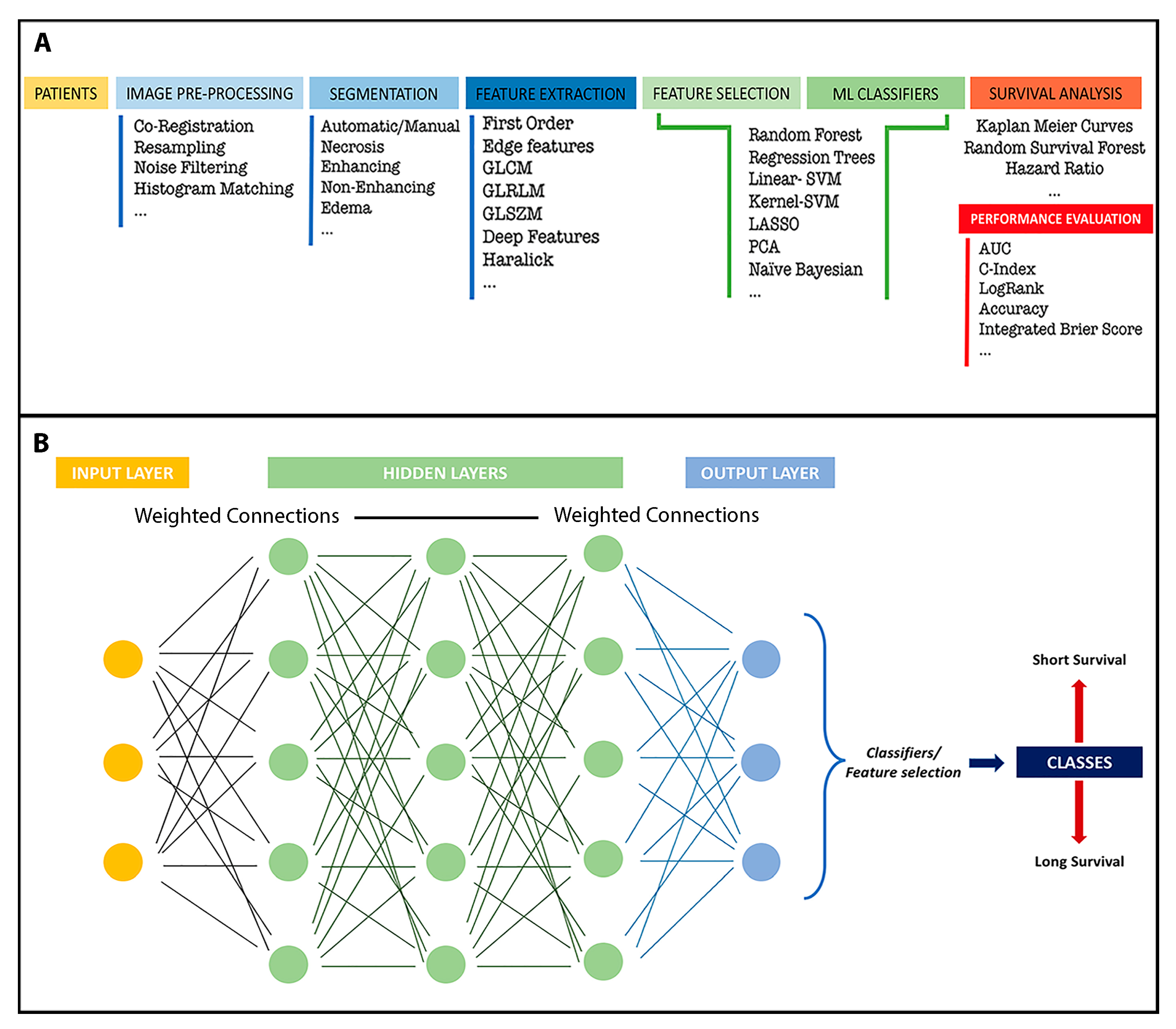 Medicina 58 01746 g002 Medicina 58 01746 g002