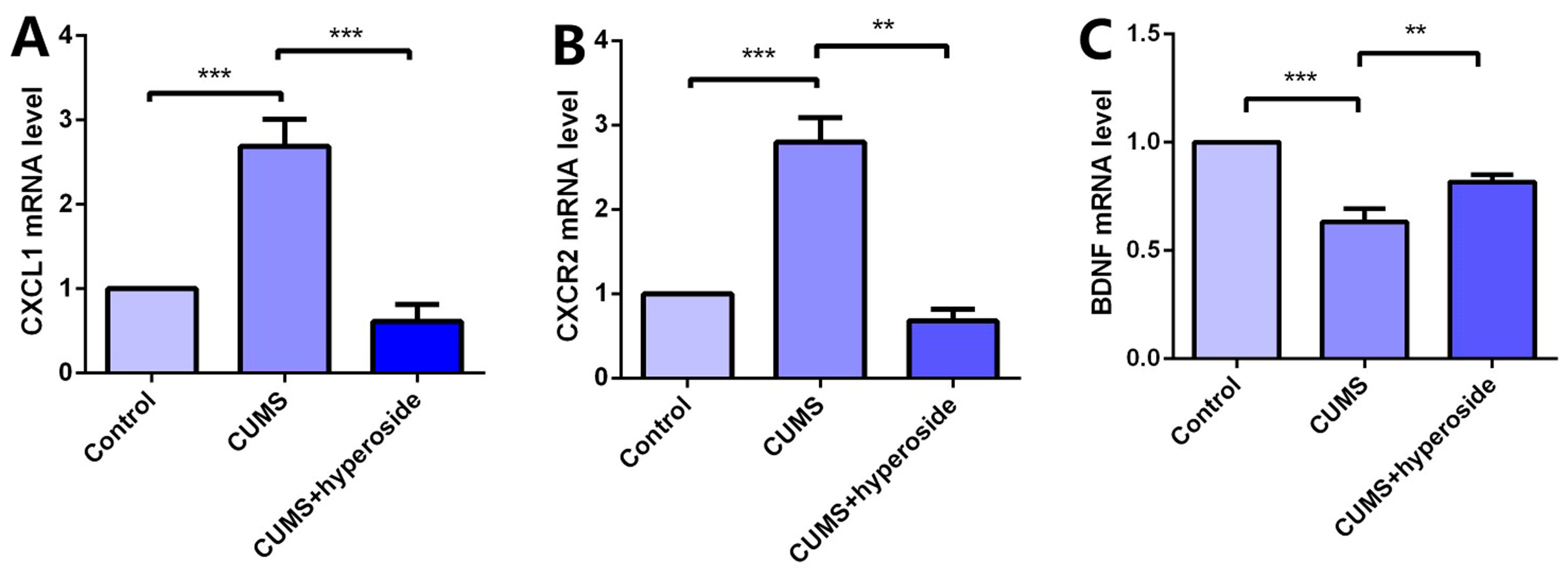 Medicina 58 01749 g008 Medicina 58 01749 g008