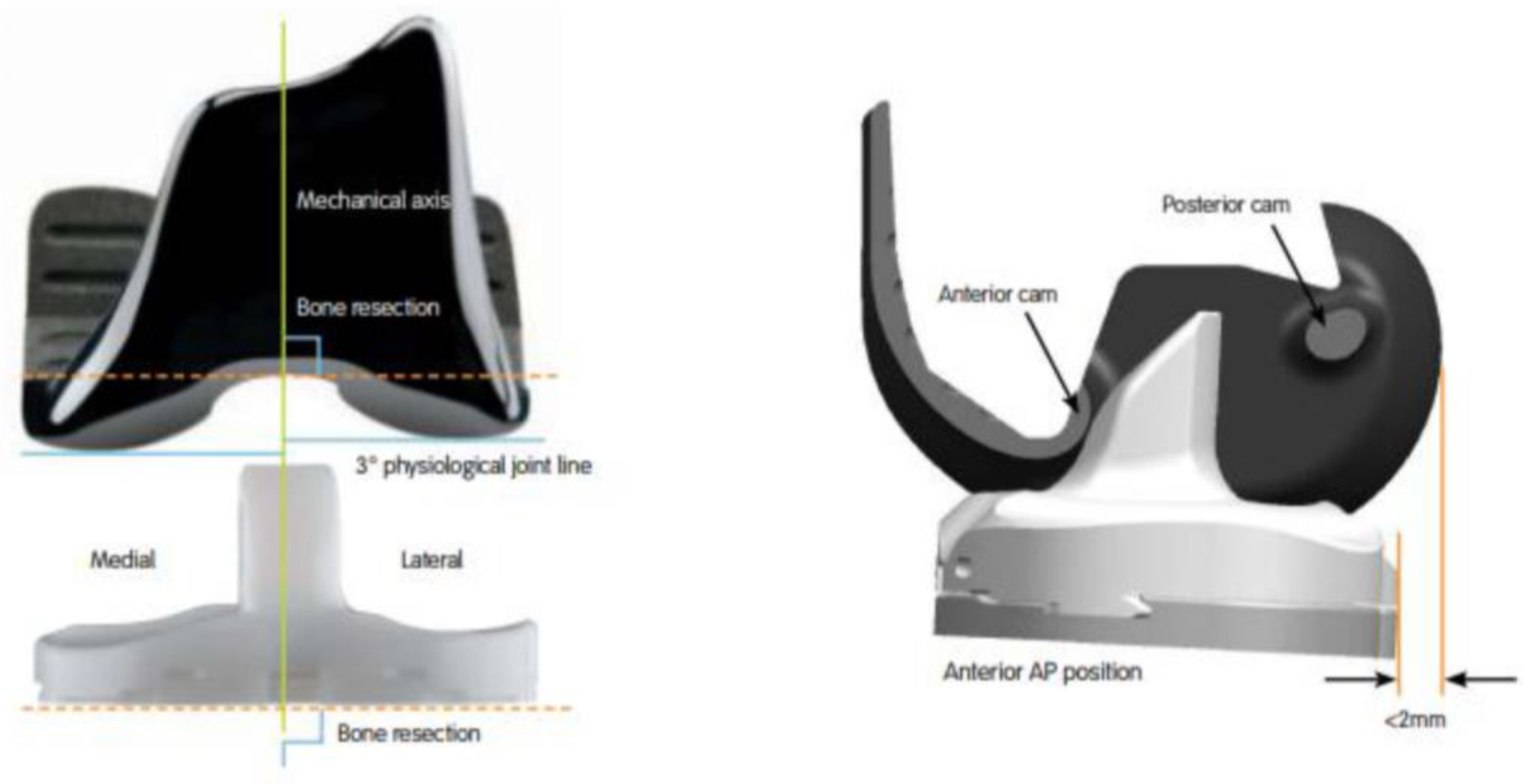 Medicina 58 01751 g001 Medicina 58 01751 g001