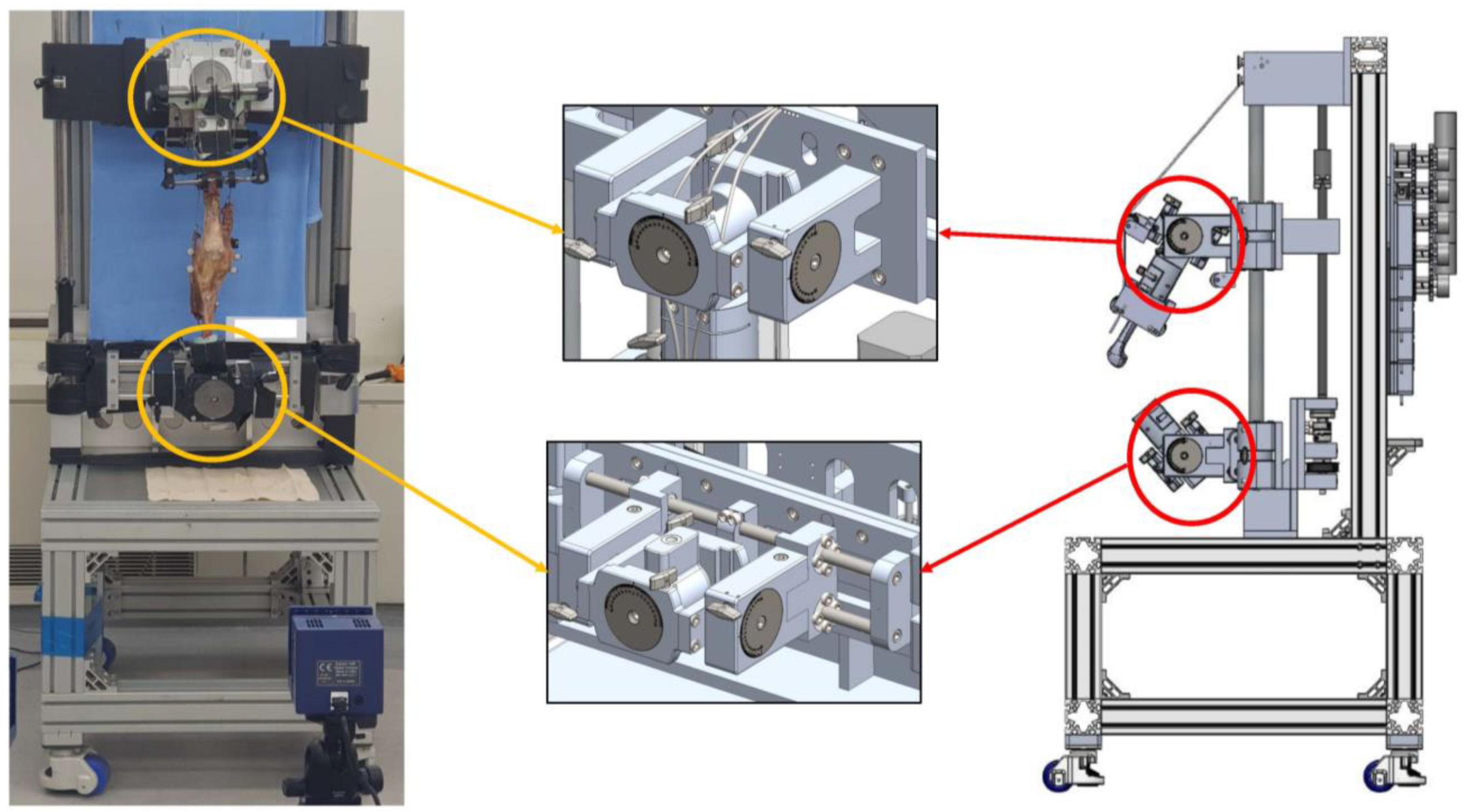 Medicina 58 01751 g002 Medicina 58 01751 g002
