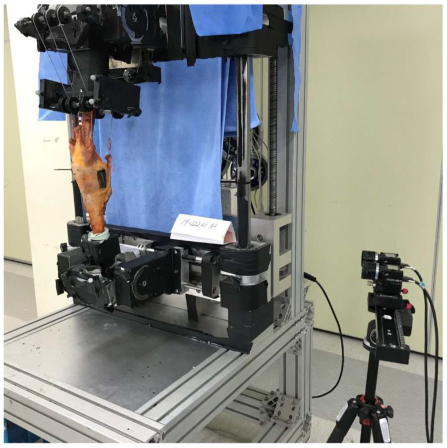 Medicina 58 01751 g003 Medicina 58 01751 g003