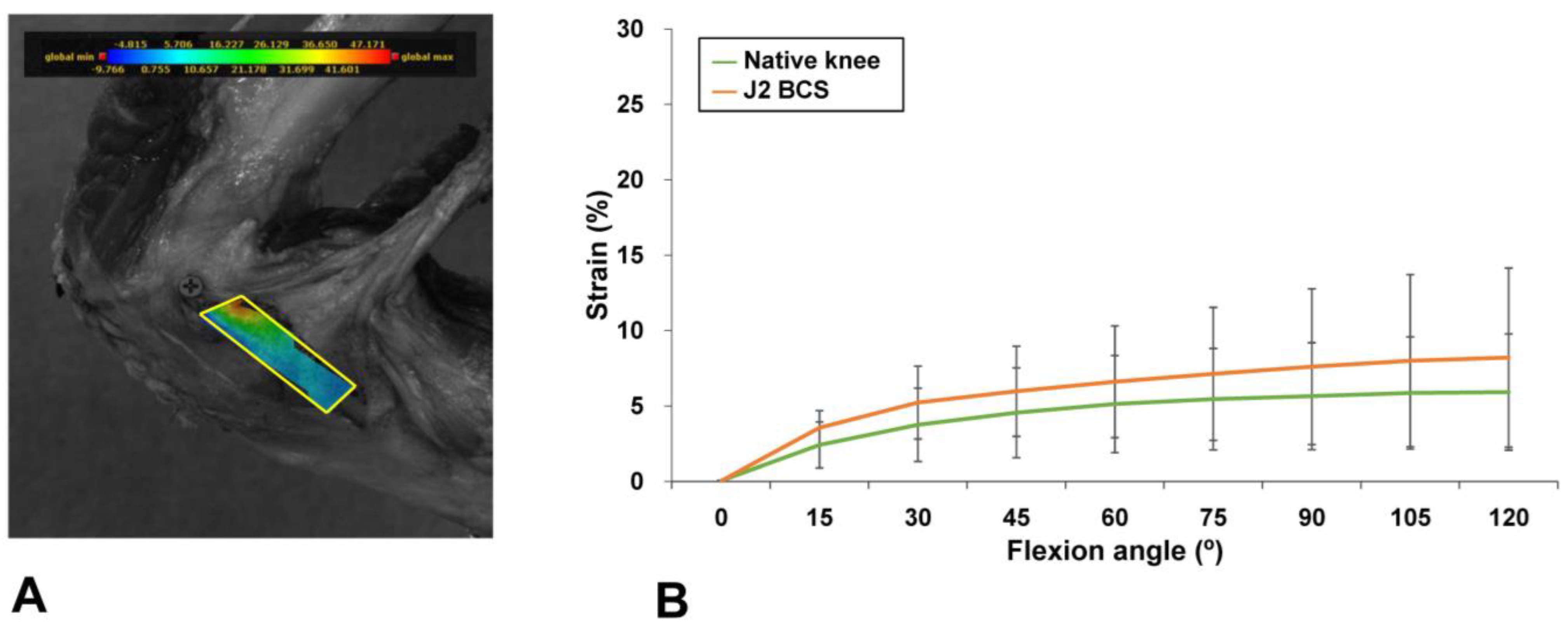Medicina 58 01751 g004 Medicina 58 01751 g004