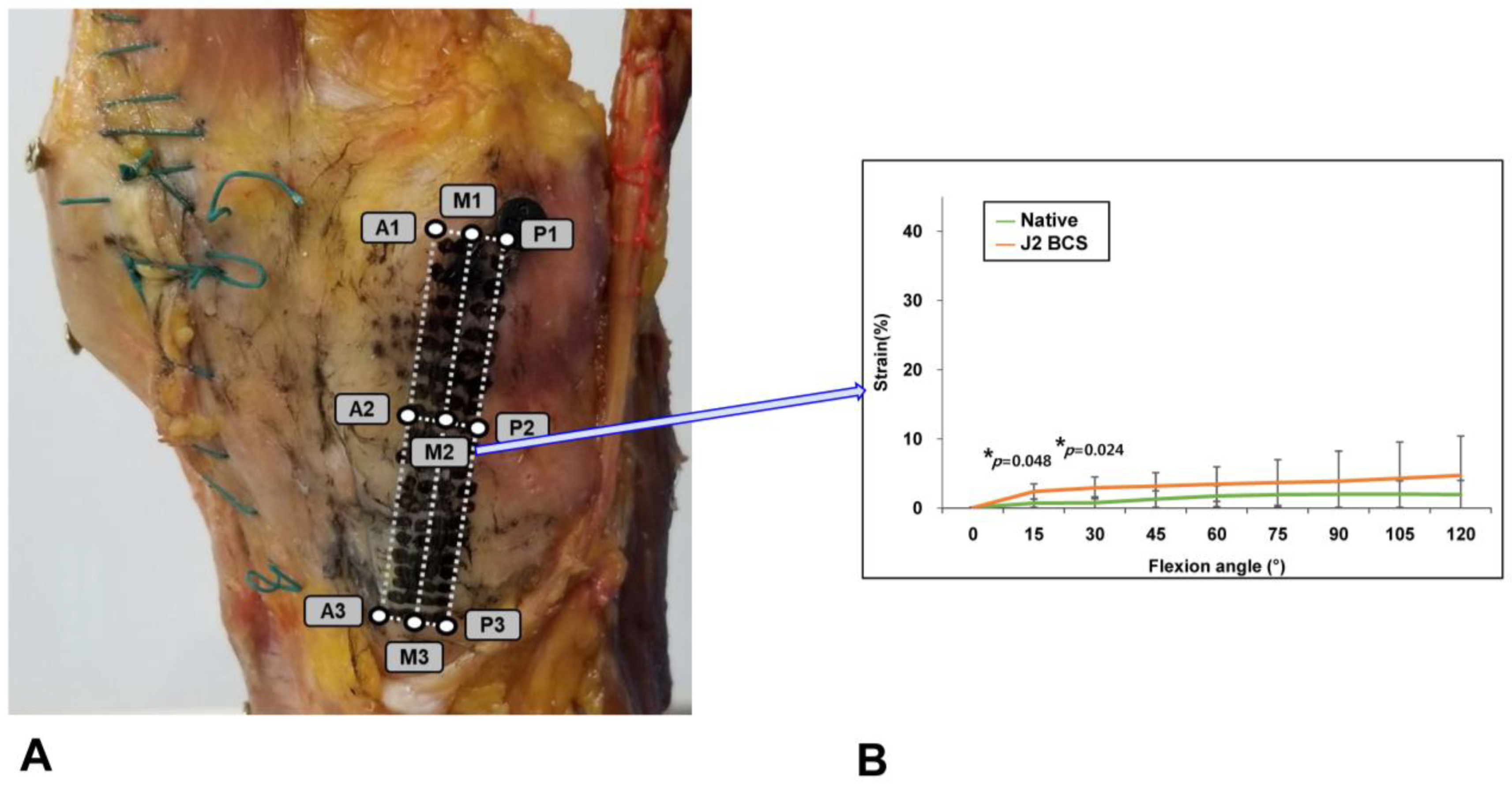 Medicina 58 01751 g006 Medicina 58 01751 g006