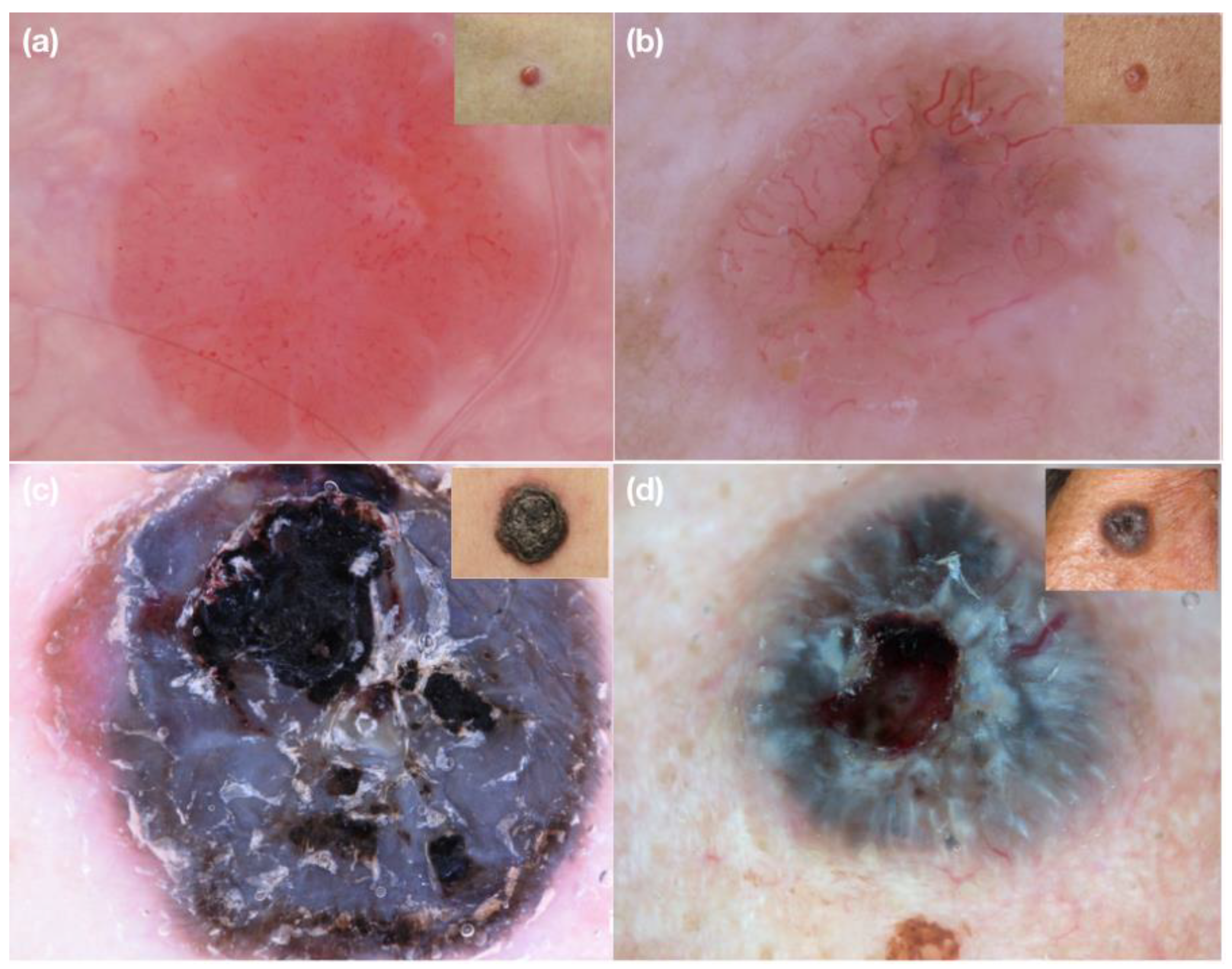 Medicina 58 01761 g001 Medicina 58 01761 g001