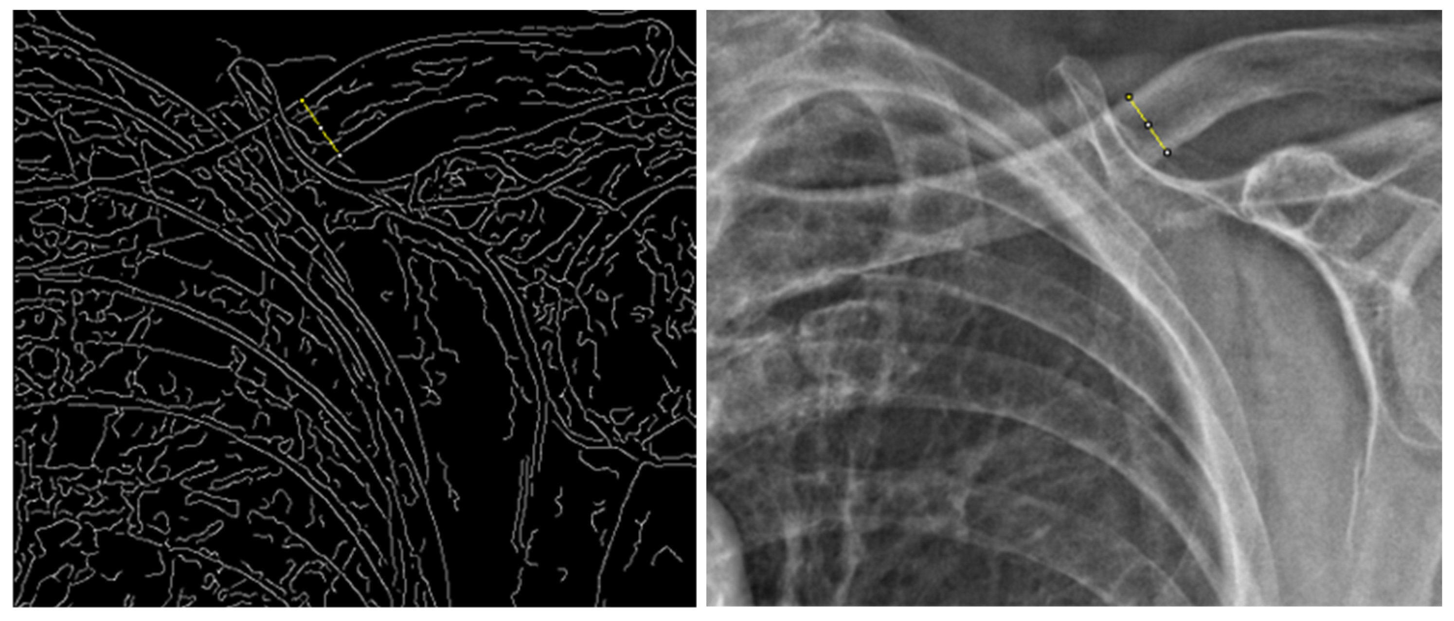 Medicina 58 01765 g002