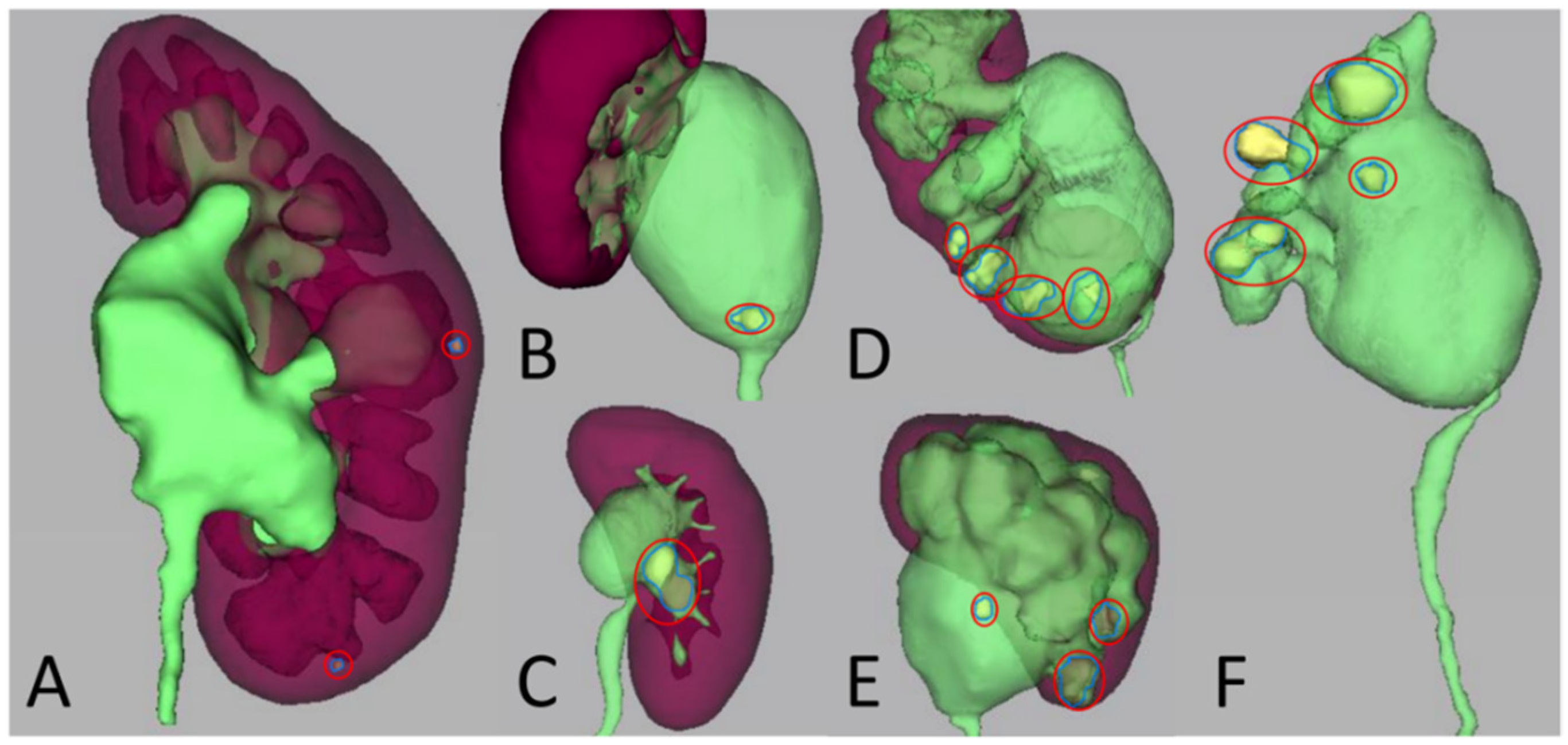 Medicina 58 01769 g002