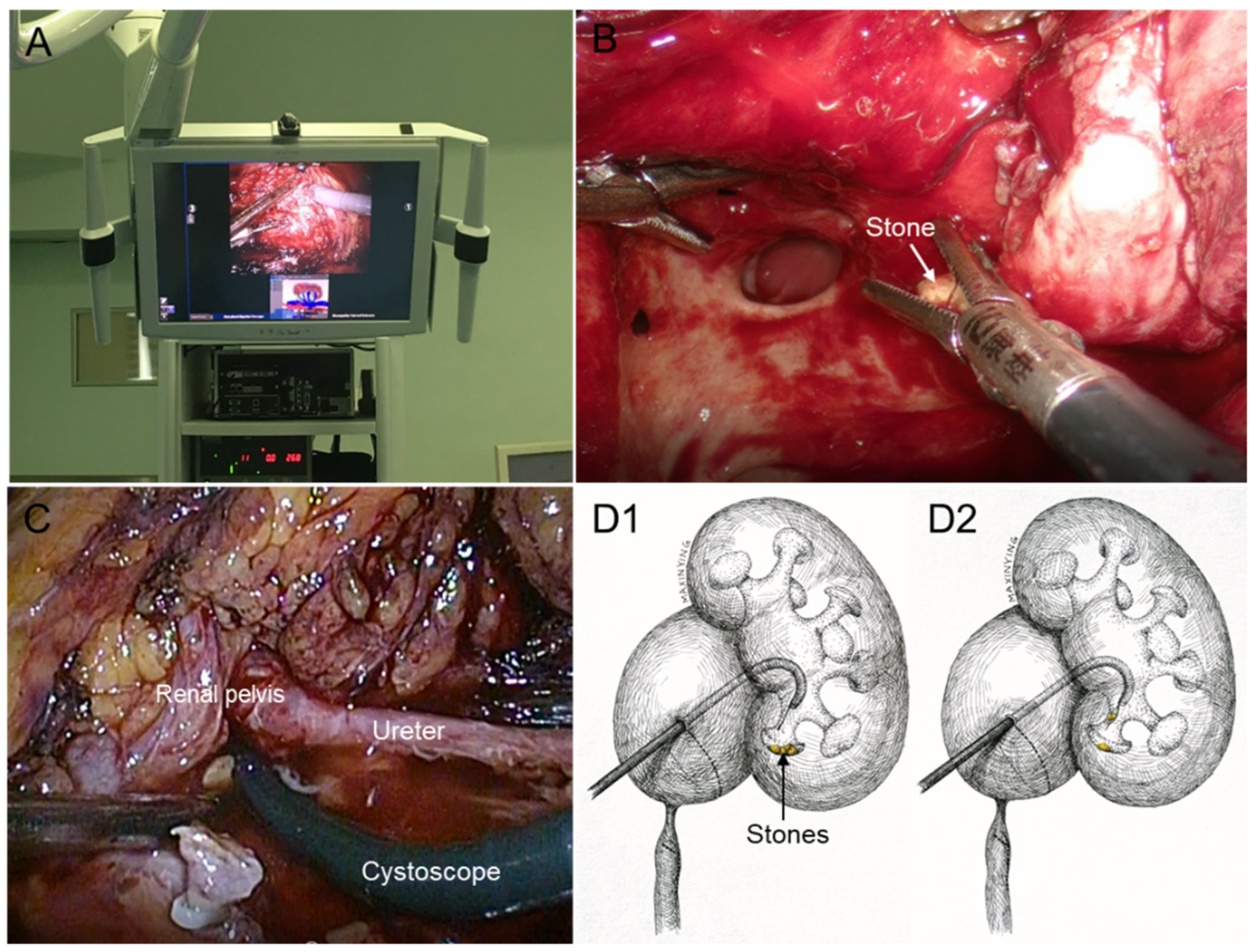 Medicina 58 01769 g003