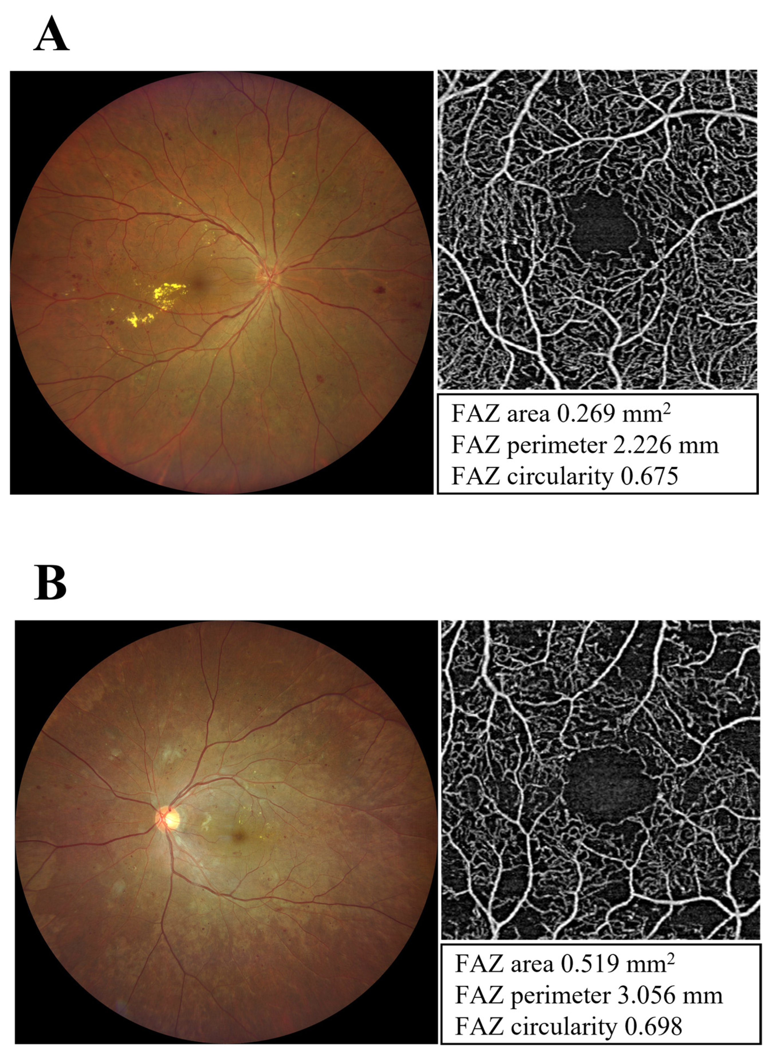 Medicina 58 01797 g001