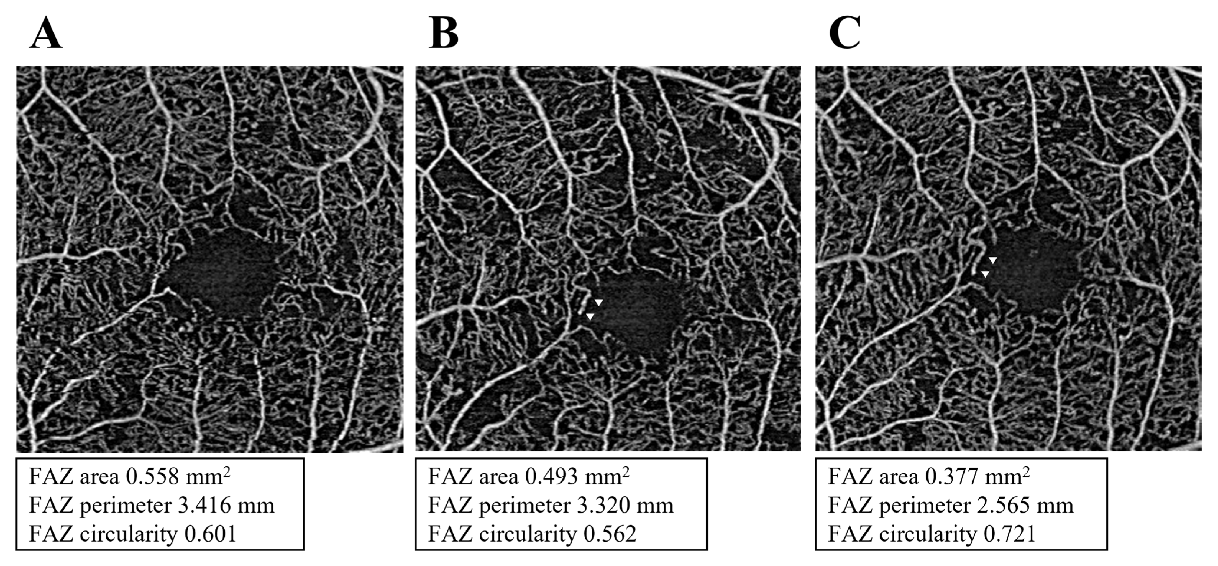 Medicina 58 01797 g002