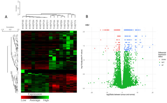 Comparative RNA-Sequencing Analysis Reveals High Complexity