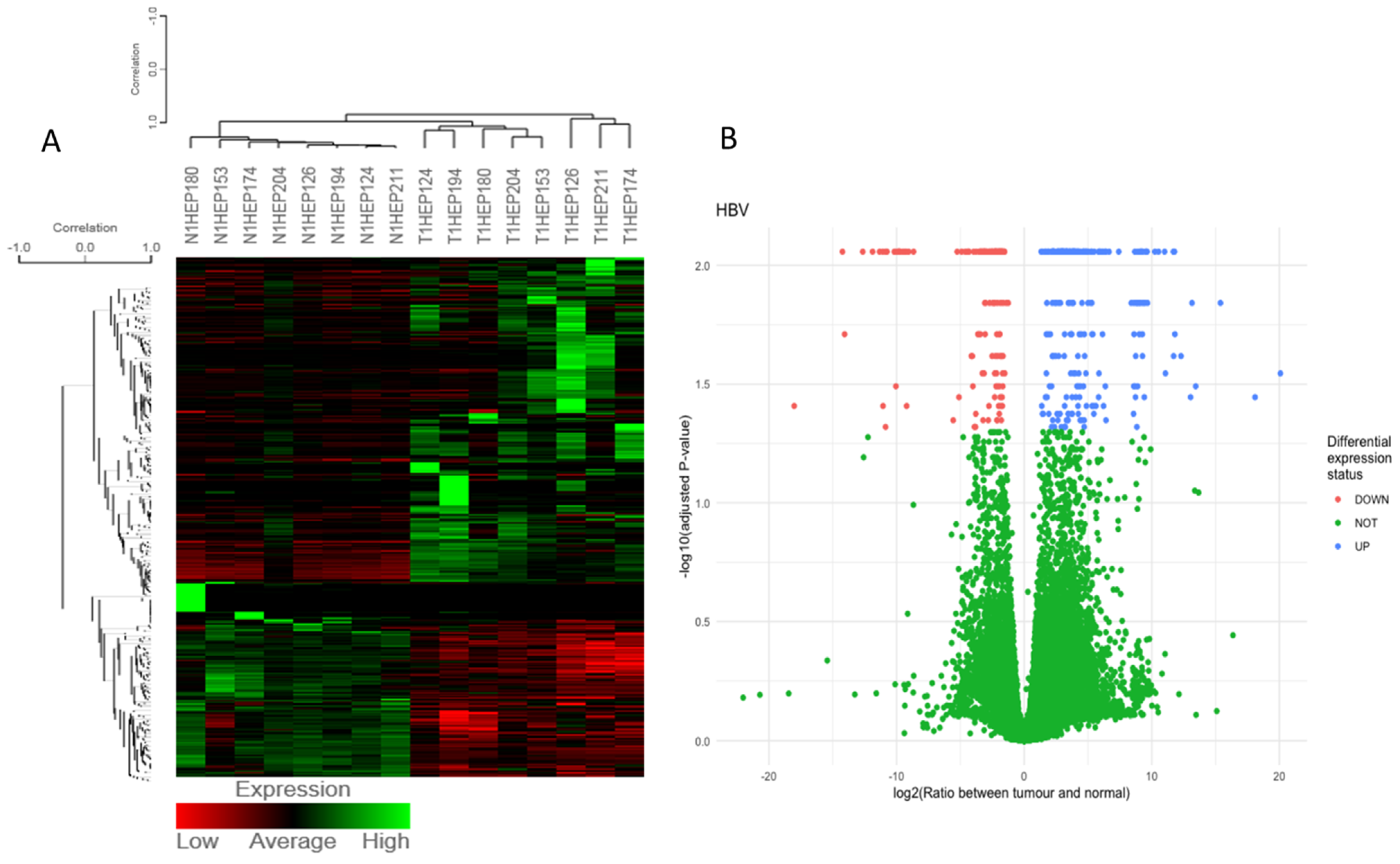 Medicina 58 01803 g003a Medicina 58 01803 g003a