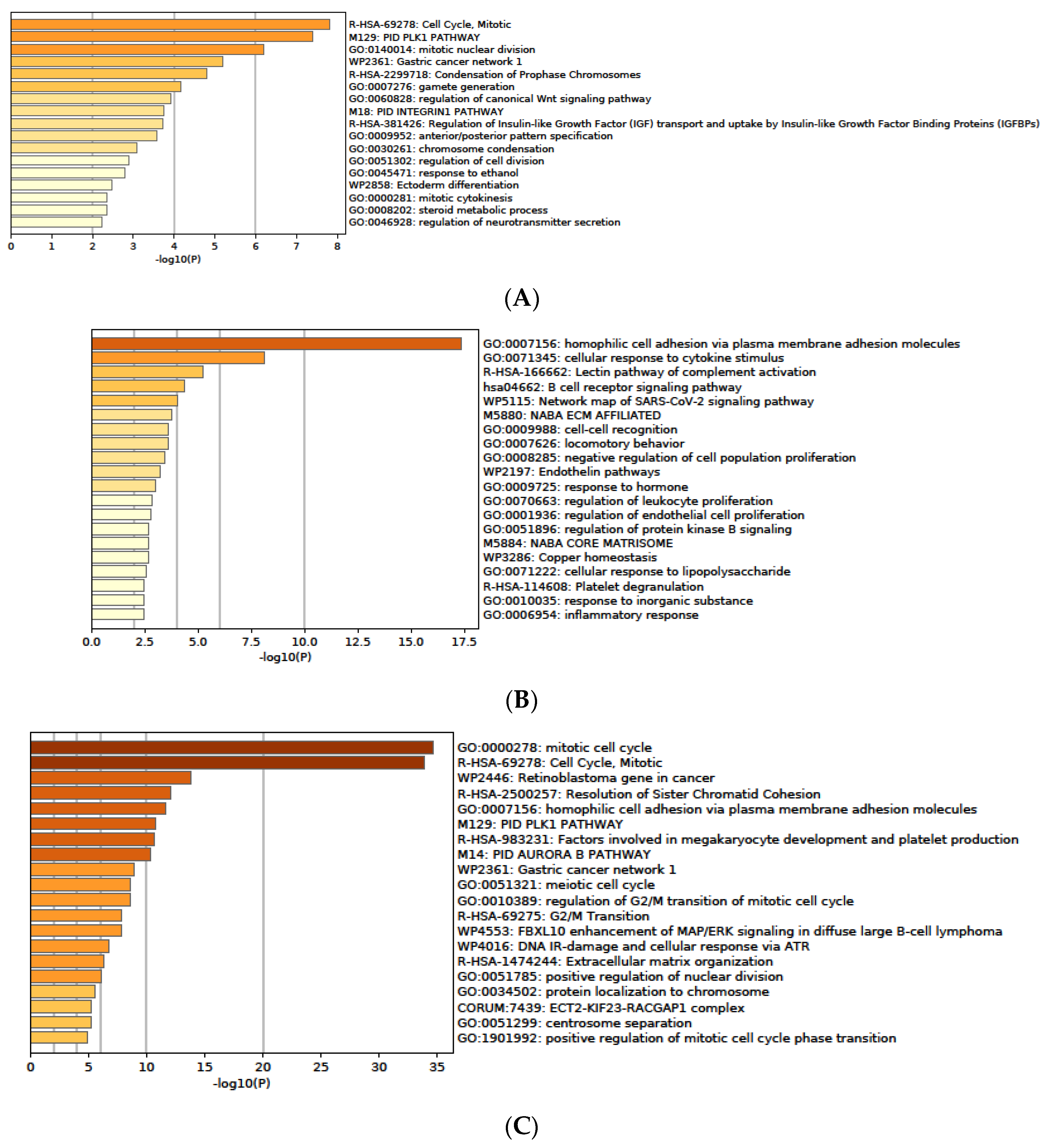 Medicina 58 01803 g005a Medicina 58 01803 g005a