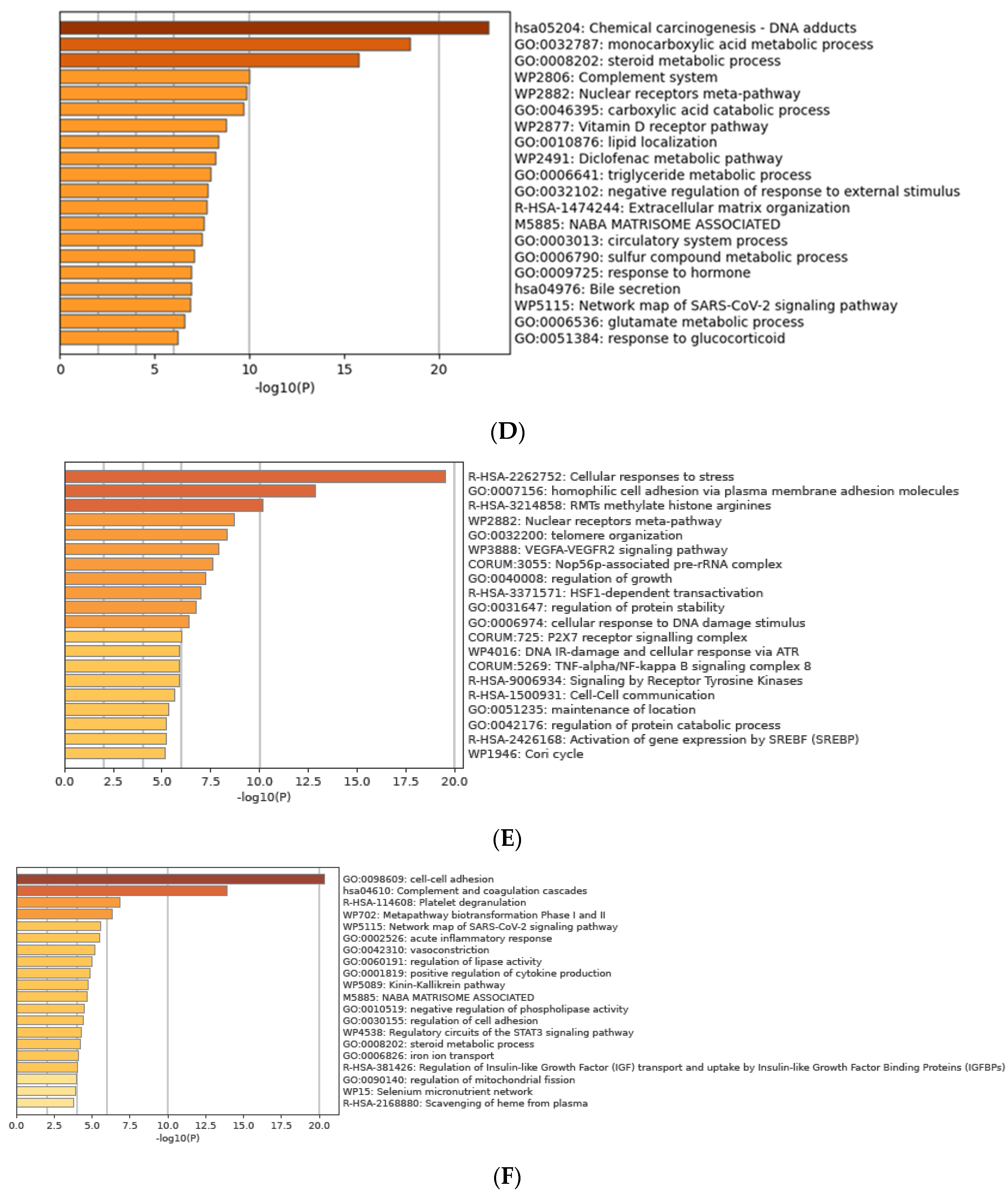 Medicina 58 01803 g005b Medicina 58 01803 g005b