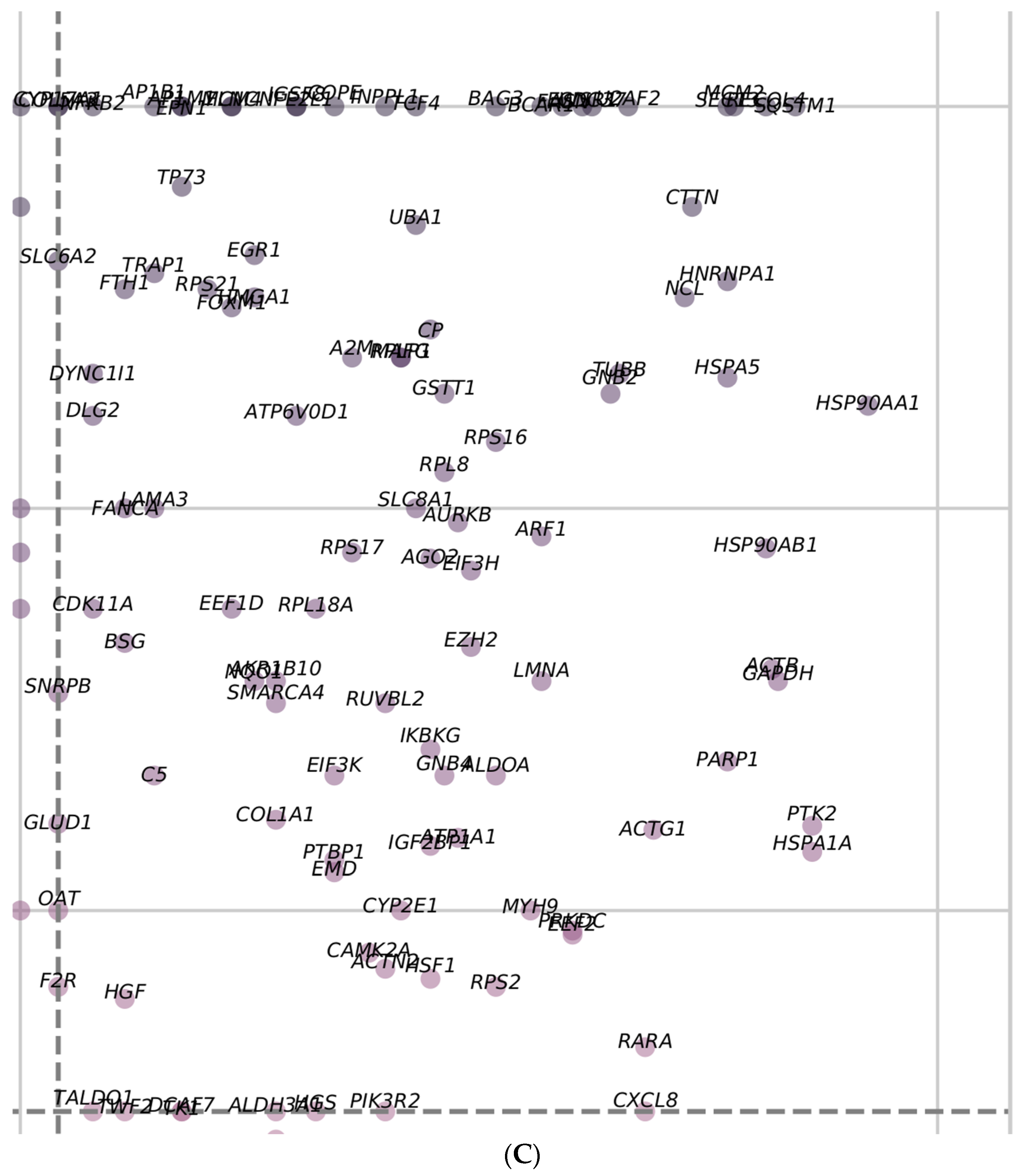 Medicina 58 01803 g006c Medicina 58 01803 g006c