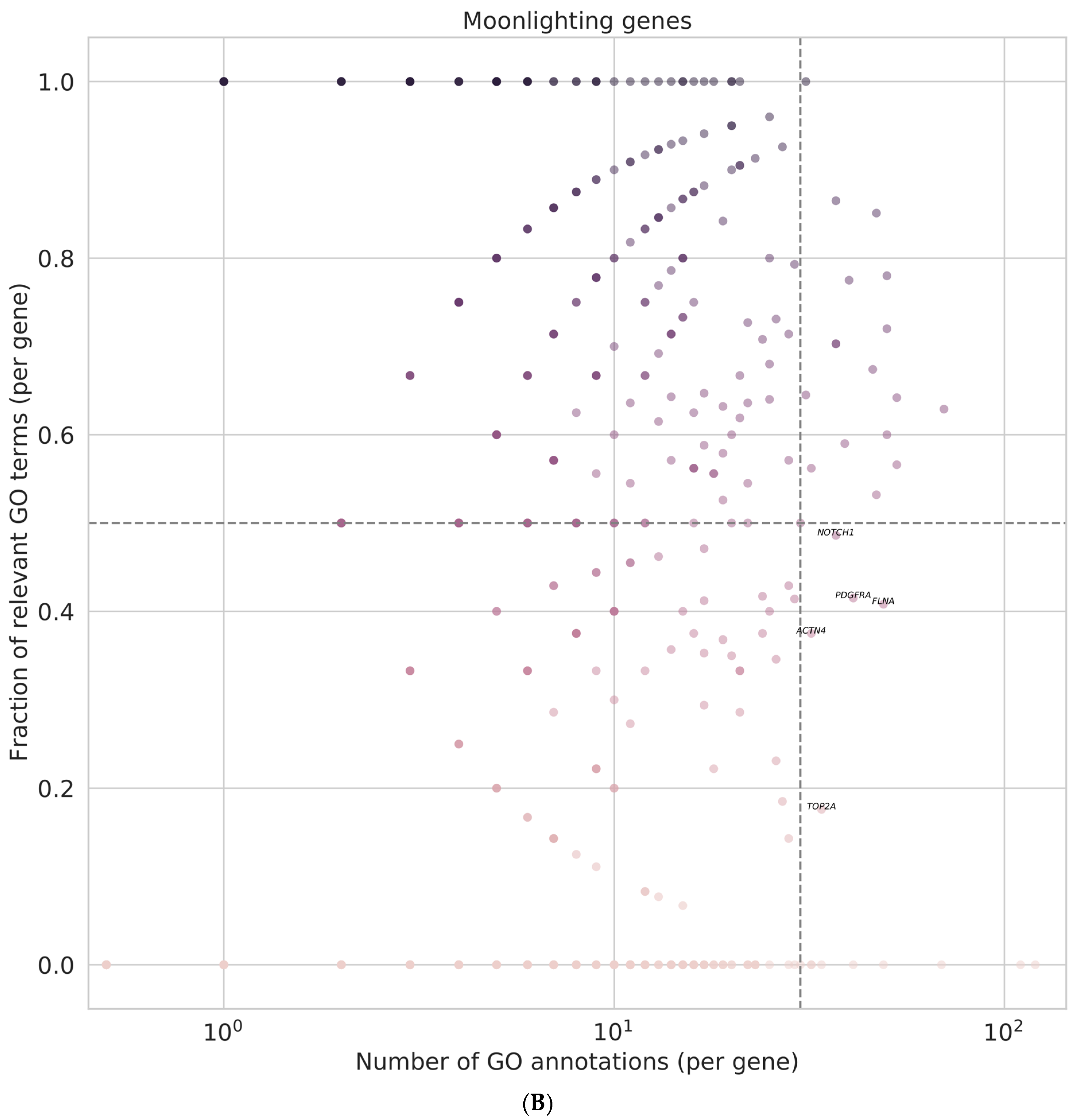 Medicina 58 01803 g007b Medicina 58 01803 g007b