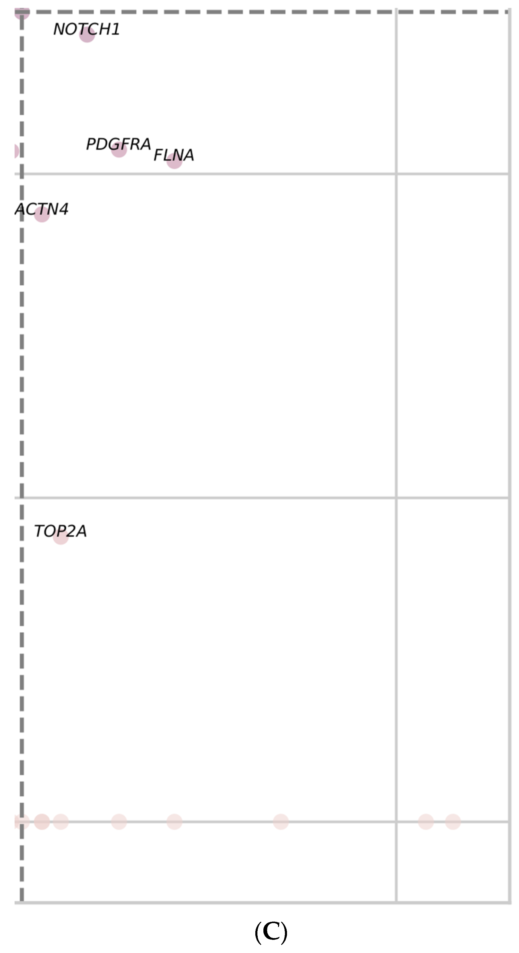 Medicina 58 01803 g007c Medicina 58 01803 g007c