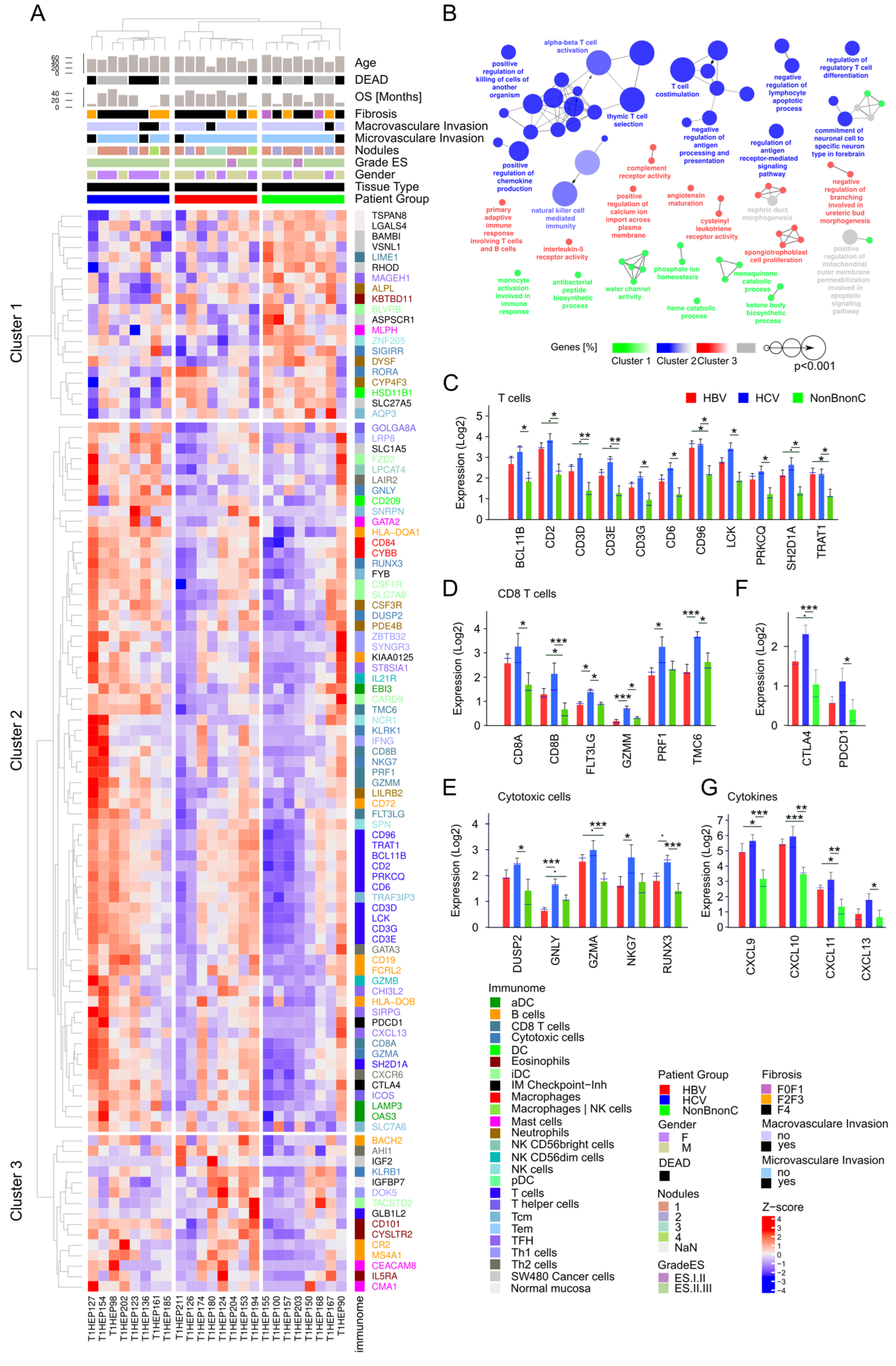 Medicina 58 01803 g008 Medicina 58 01803 g008