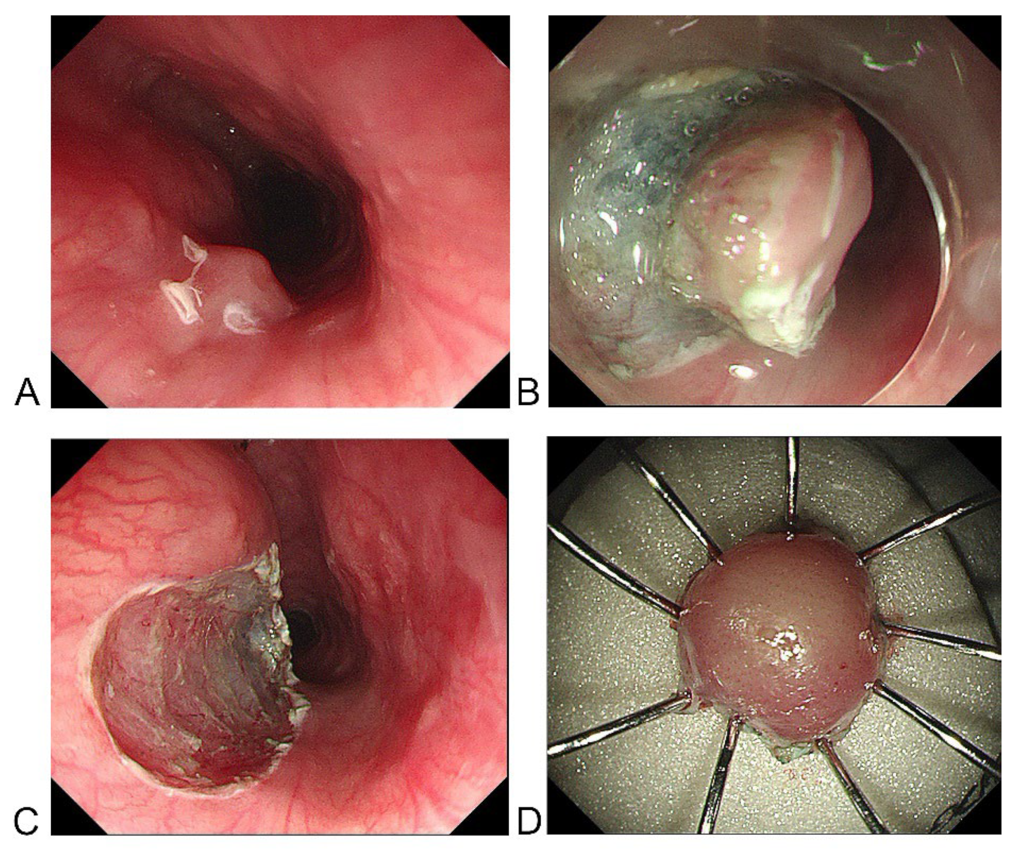 Medicina 58 01804 g002
