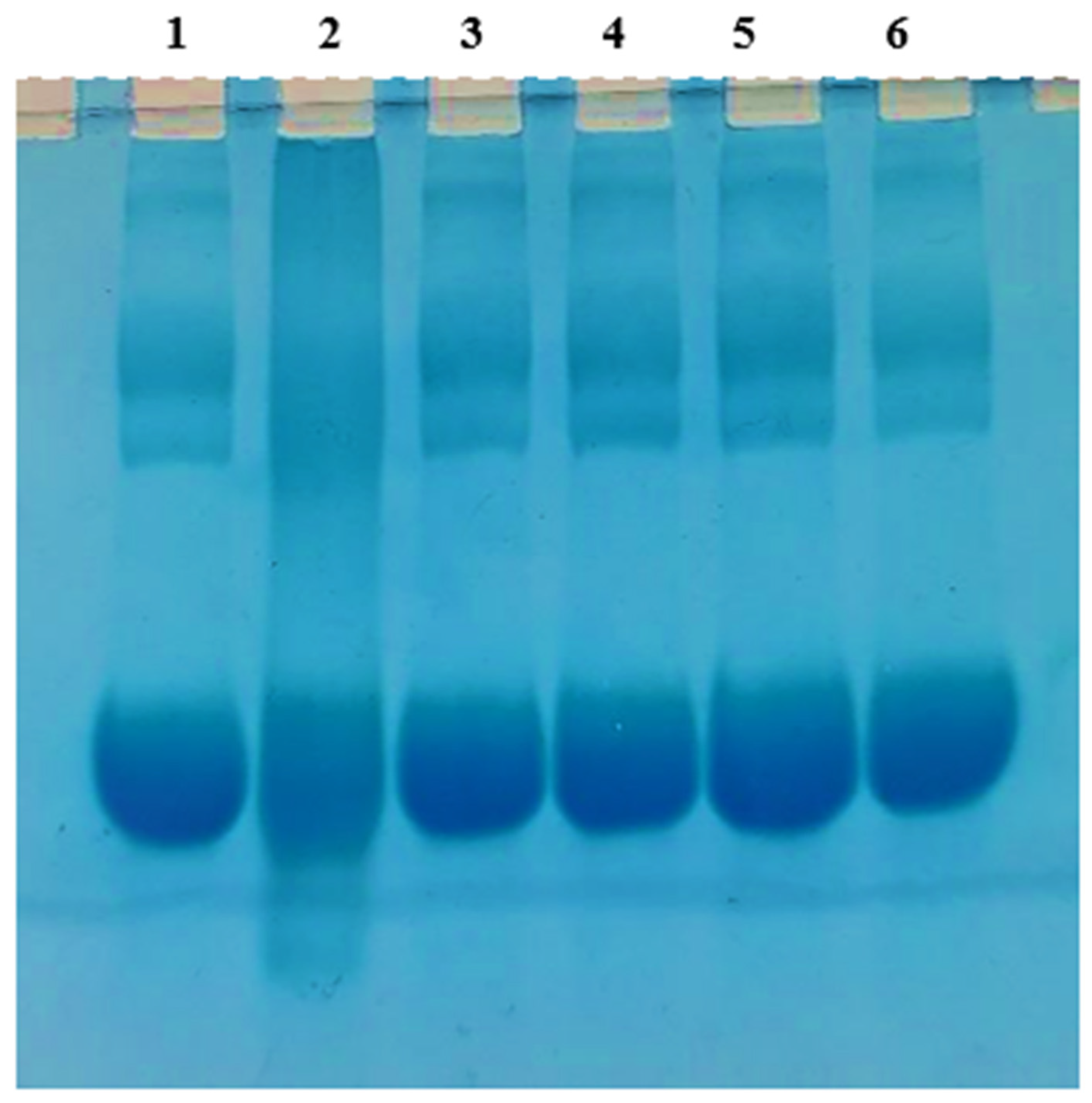 Medicina 58 01816 g011 Medicina 58 01816 g011