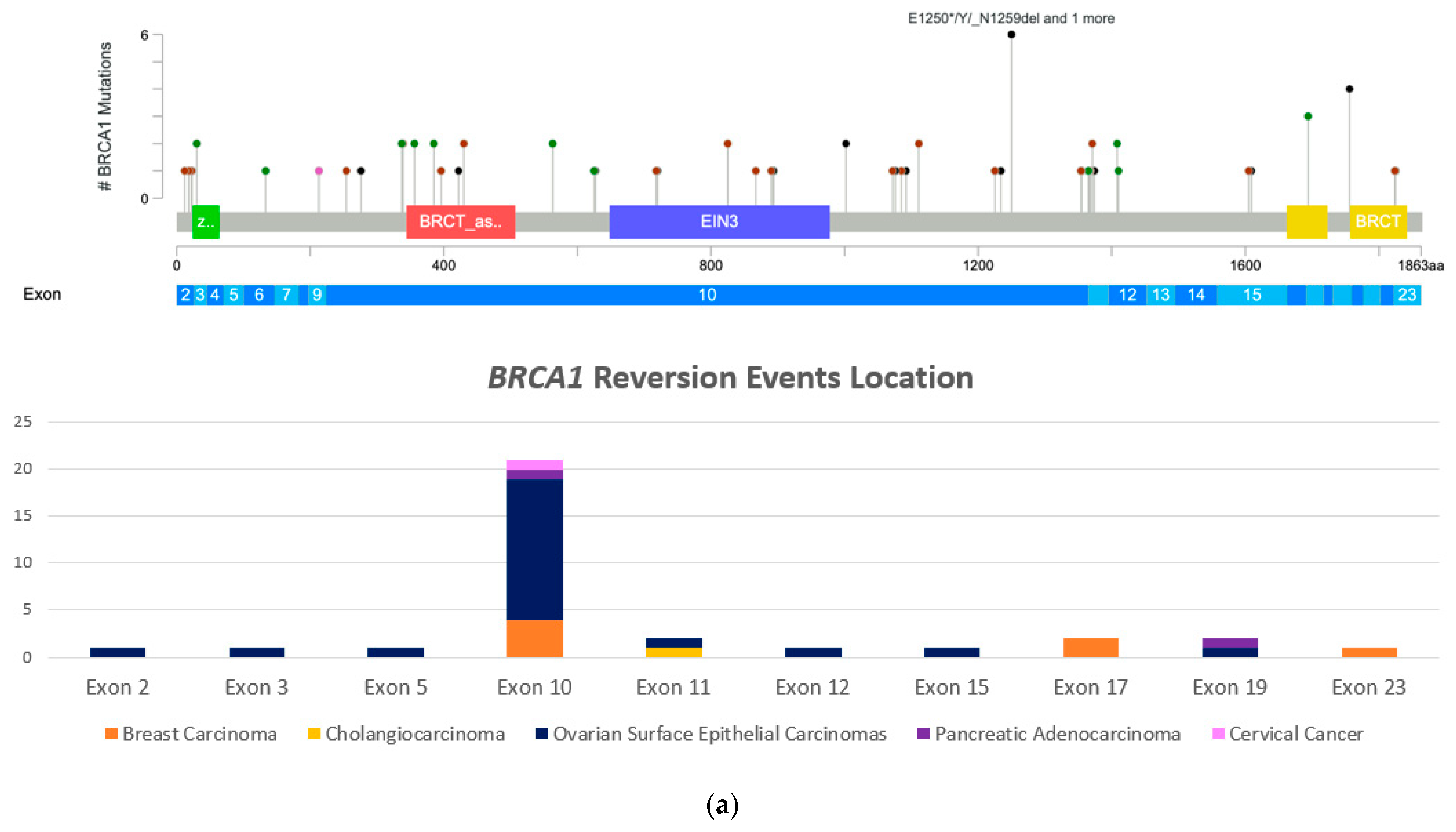 Medicina 58 01818 g001a