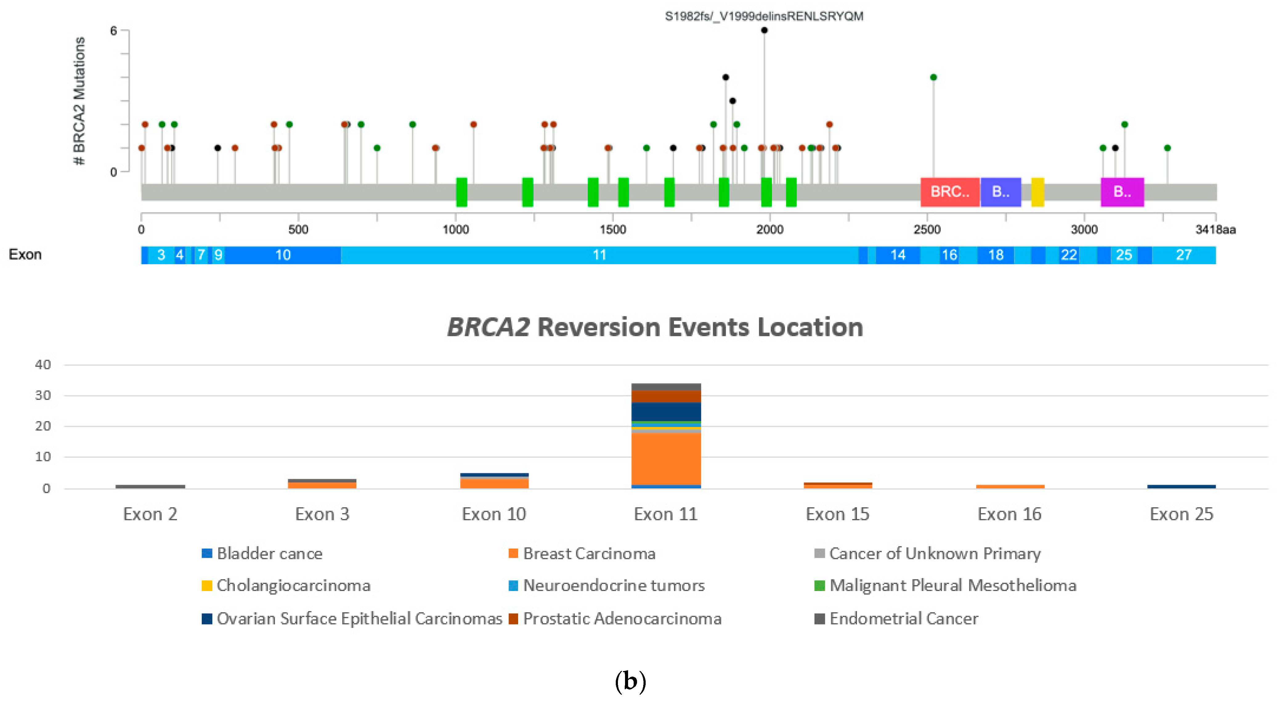 Medicina 58 01818 g001b