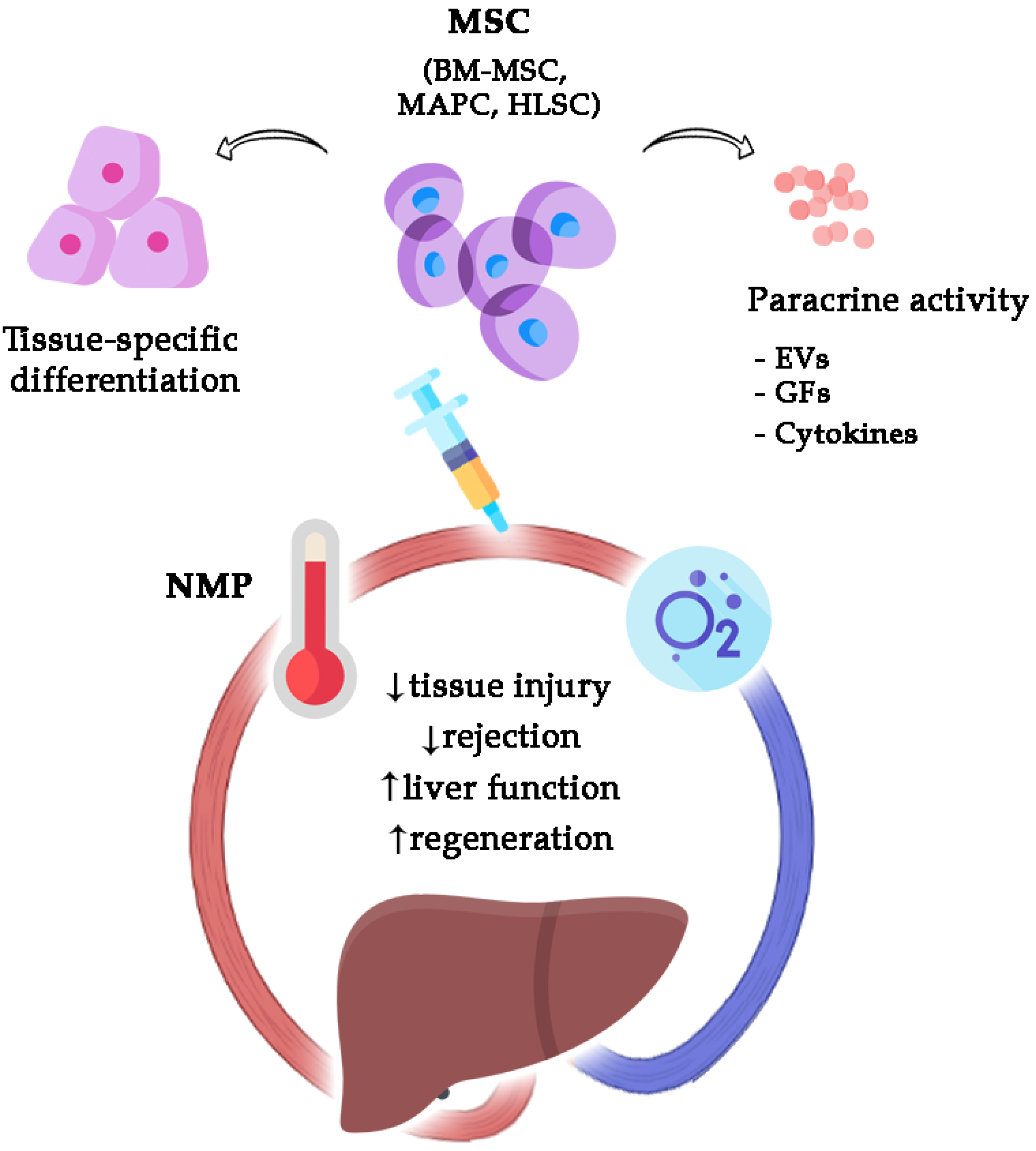 Medicina 58 01826 g001 Medicina 58 01826 g001