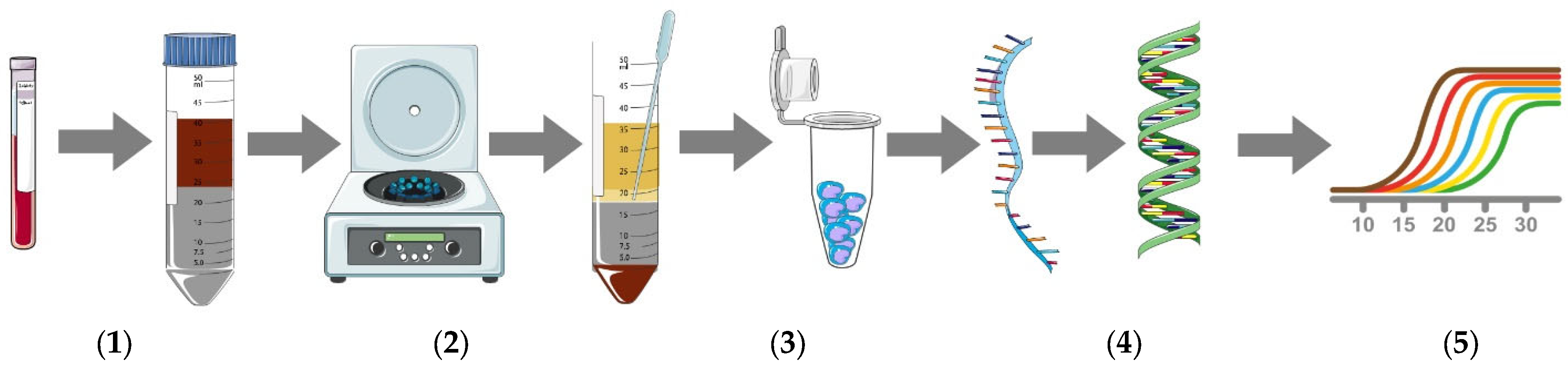 Medicina 58 01829 g001 Medicina 58 01829 g001