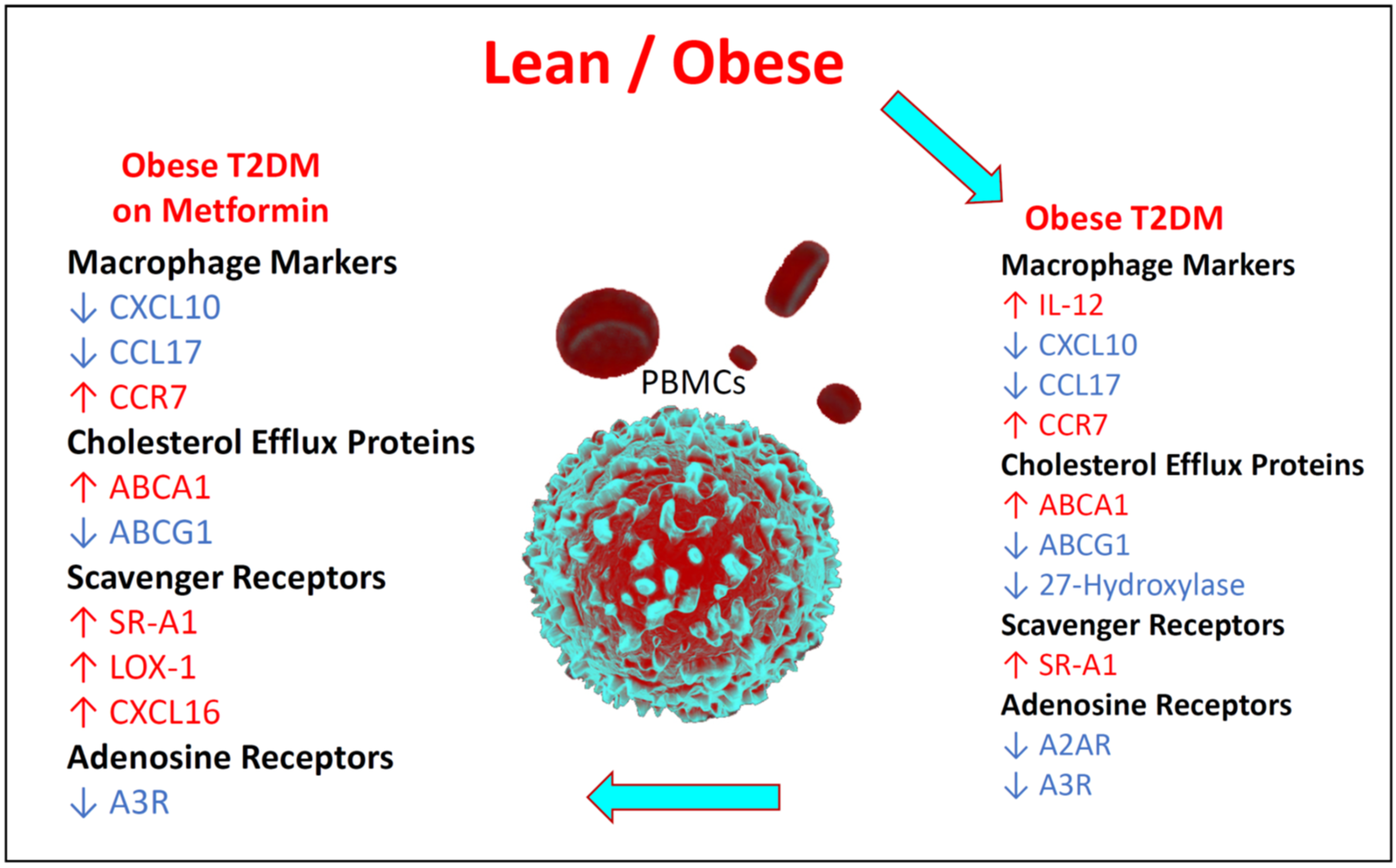 Medicina 58 01829 g006 Medicina 58 01829 g006