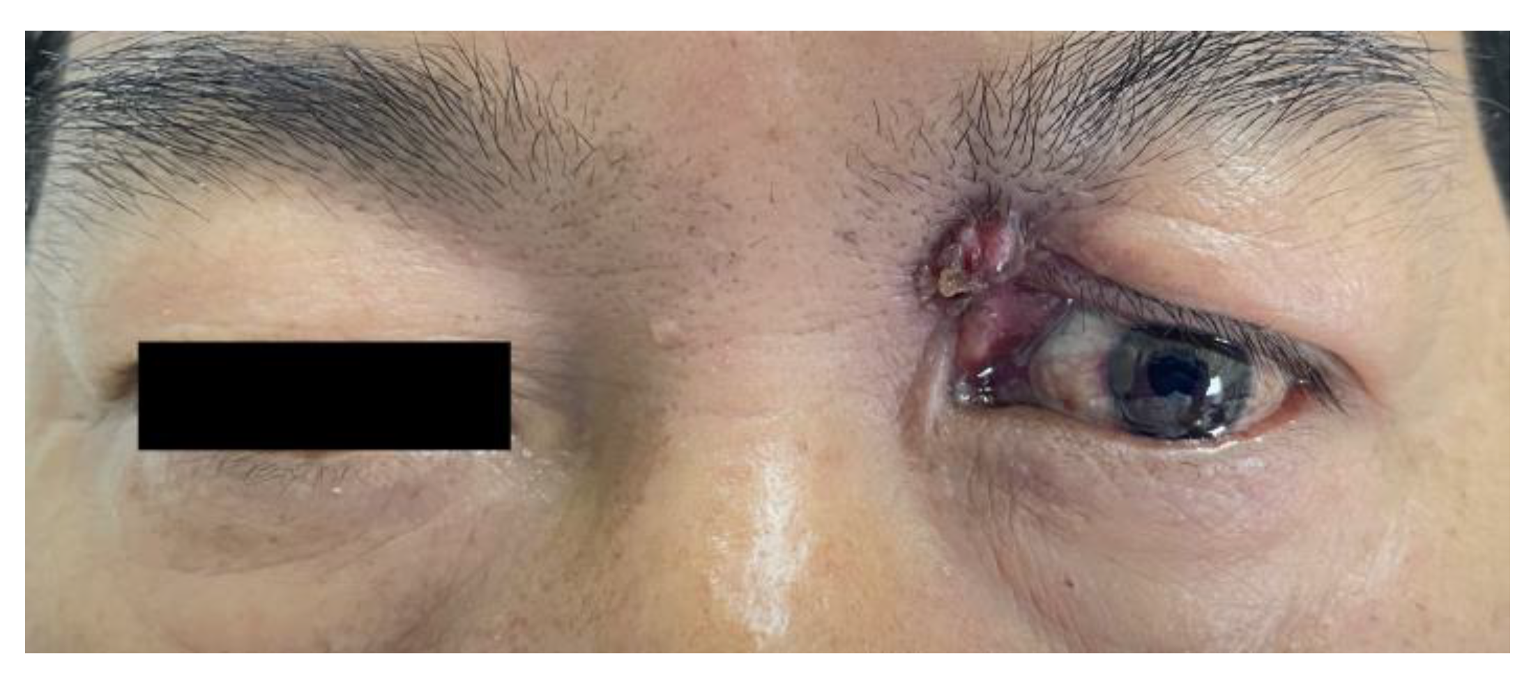 Medicina 58 01832 g001