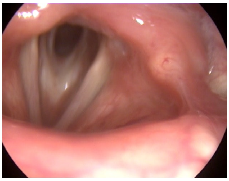 Medicina 58 01837 g002