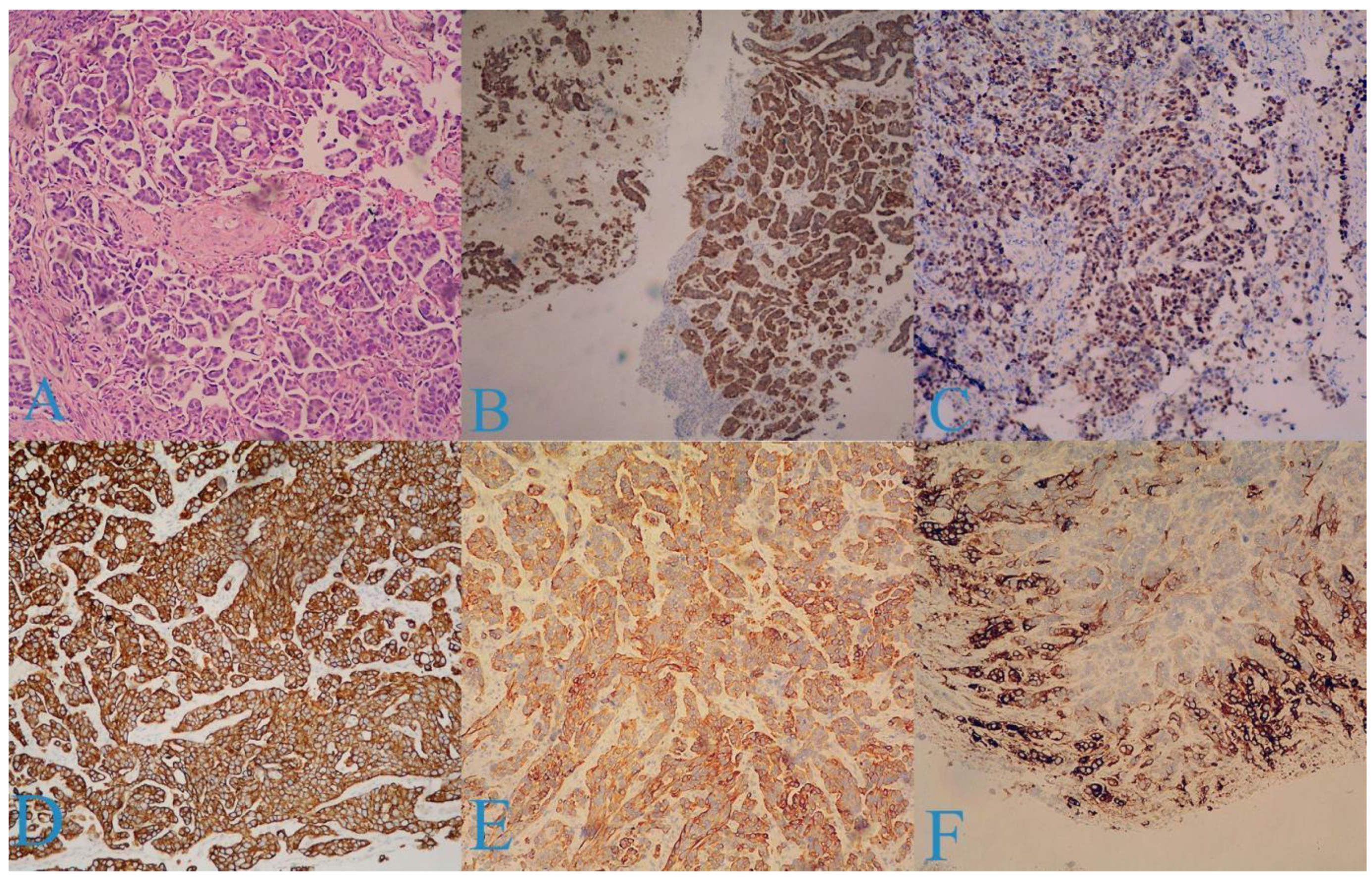 Medicina 58 01838 g002