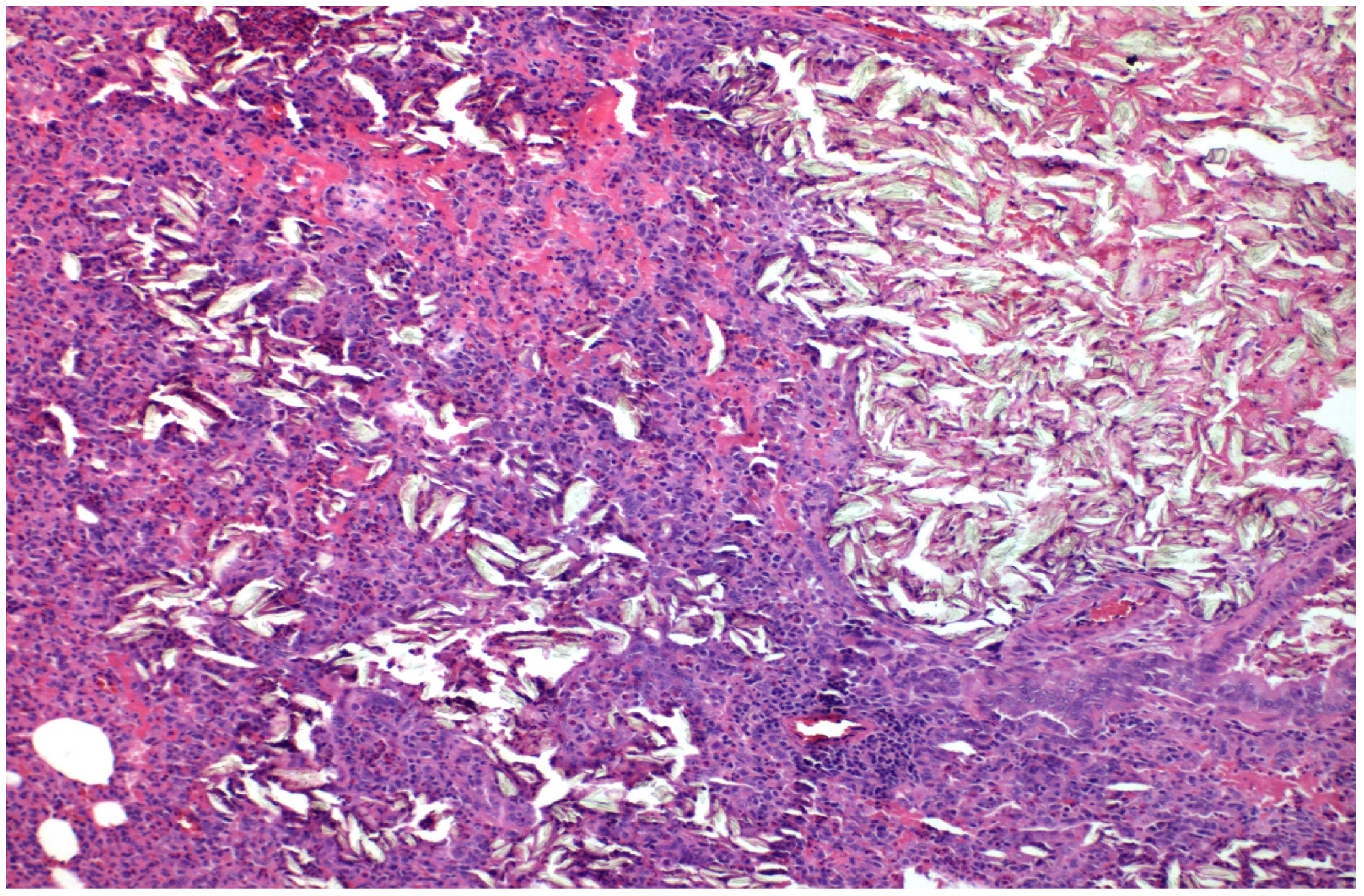 Medicina 58 01842 g001