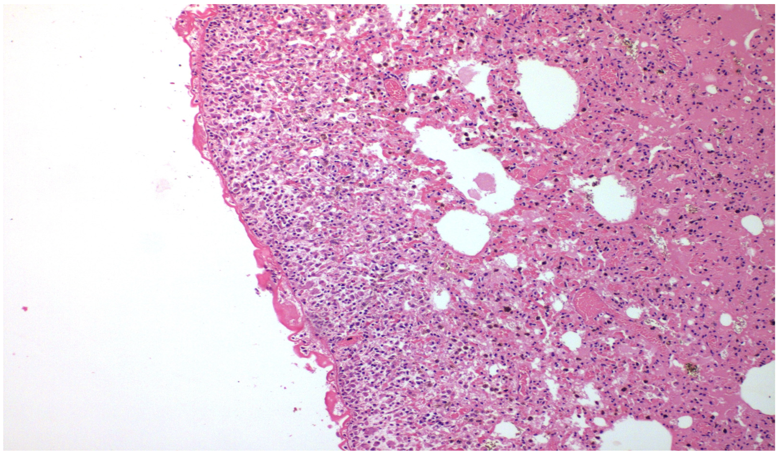 Medicina 58 01842 g003