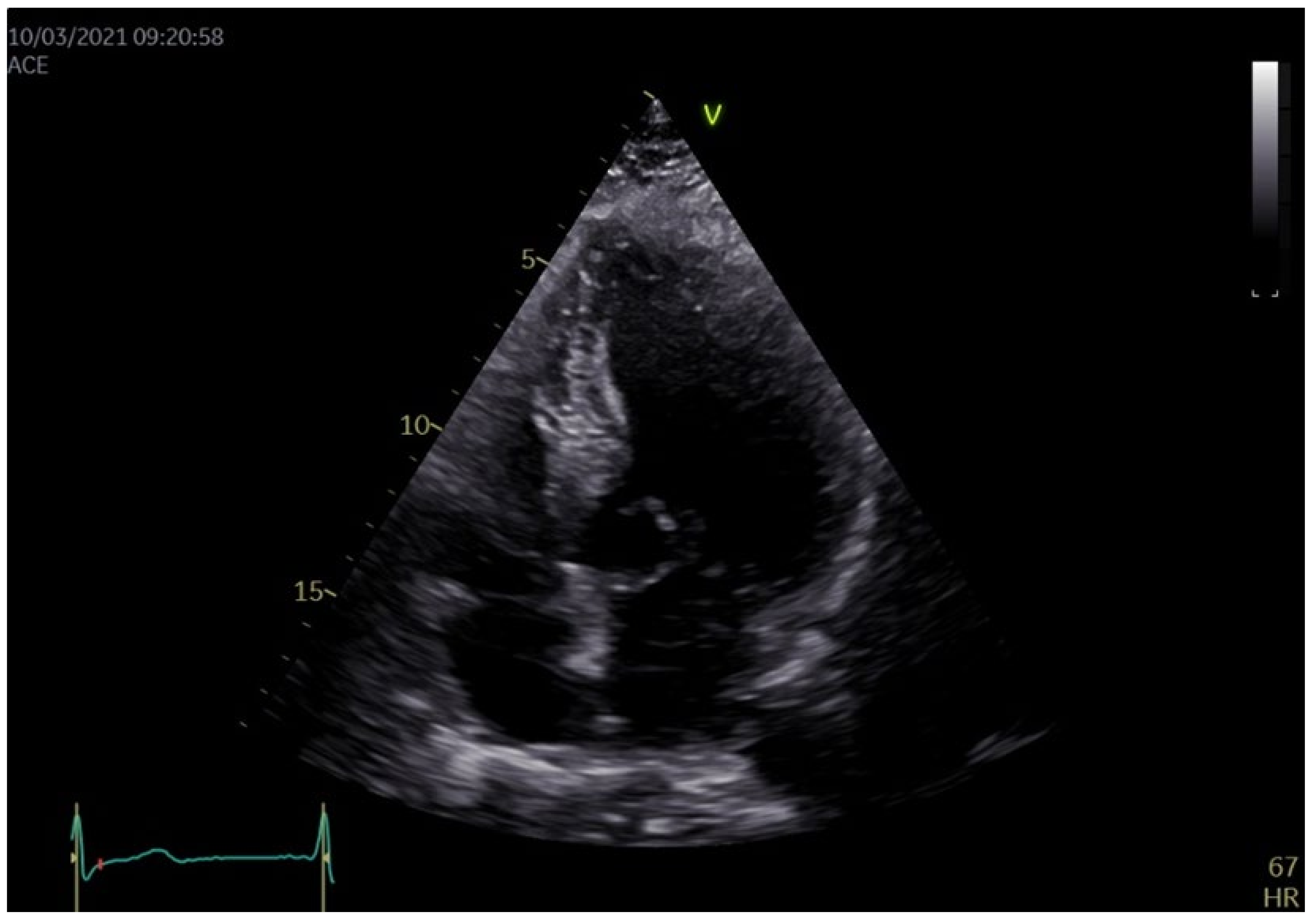 Medicina 58 01844 g001