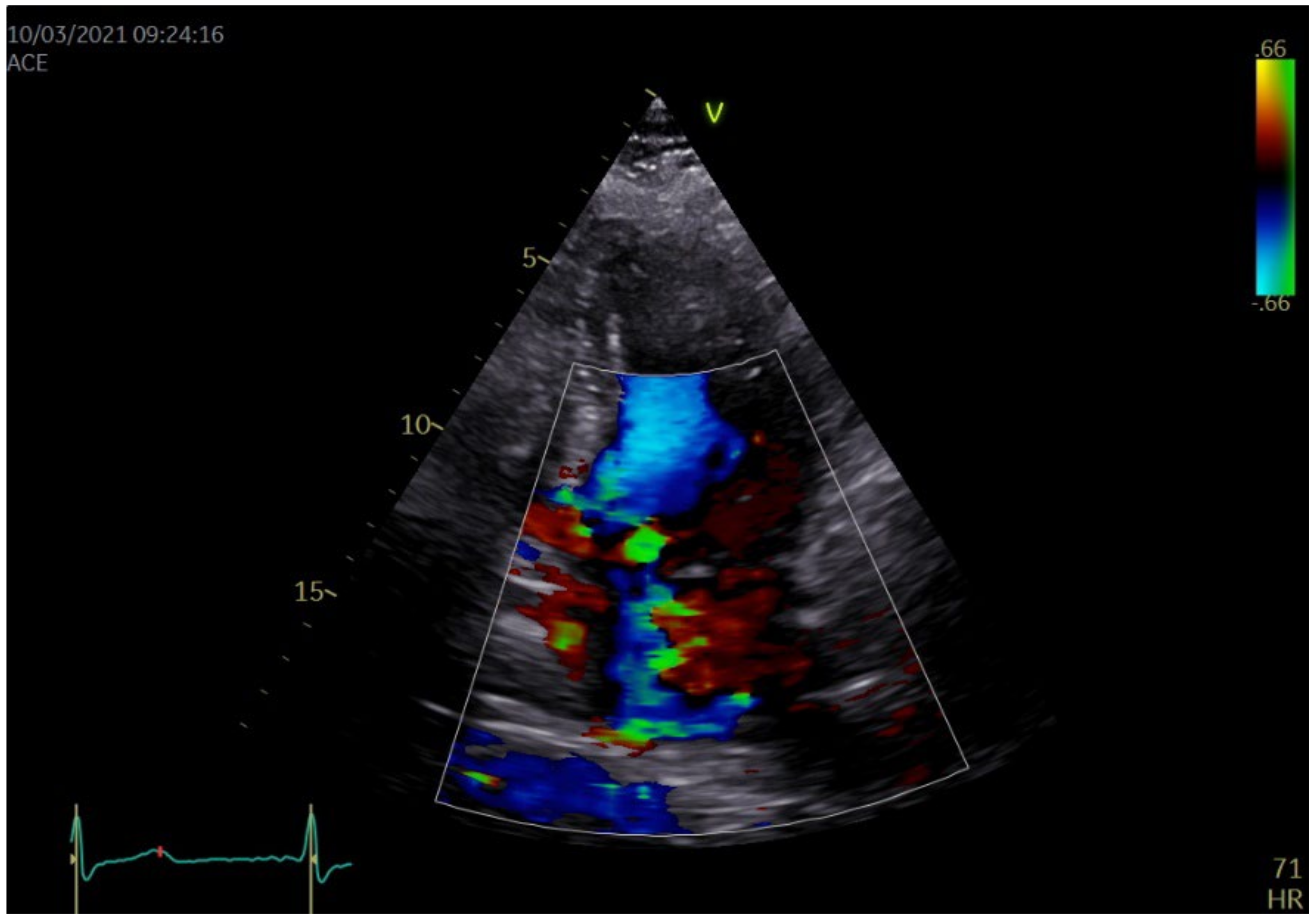 Medicina 58 01844 g002