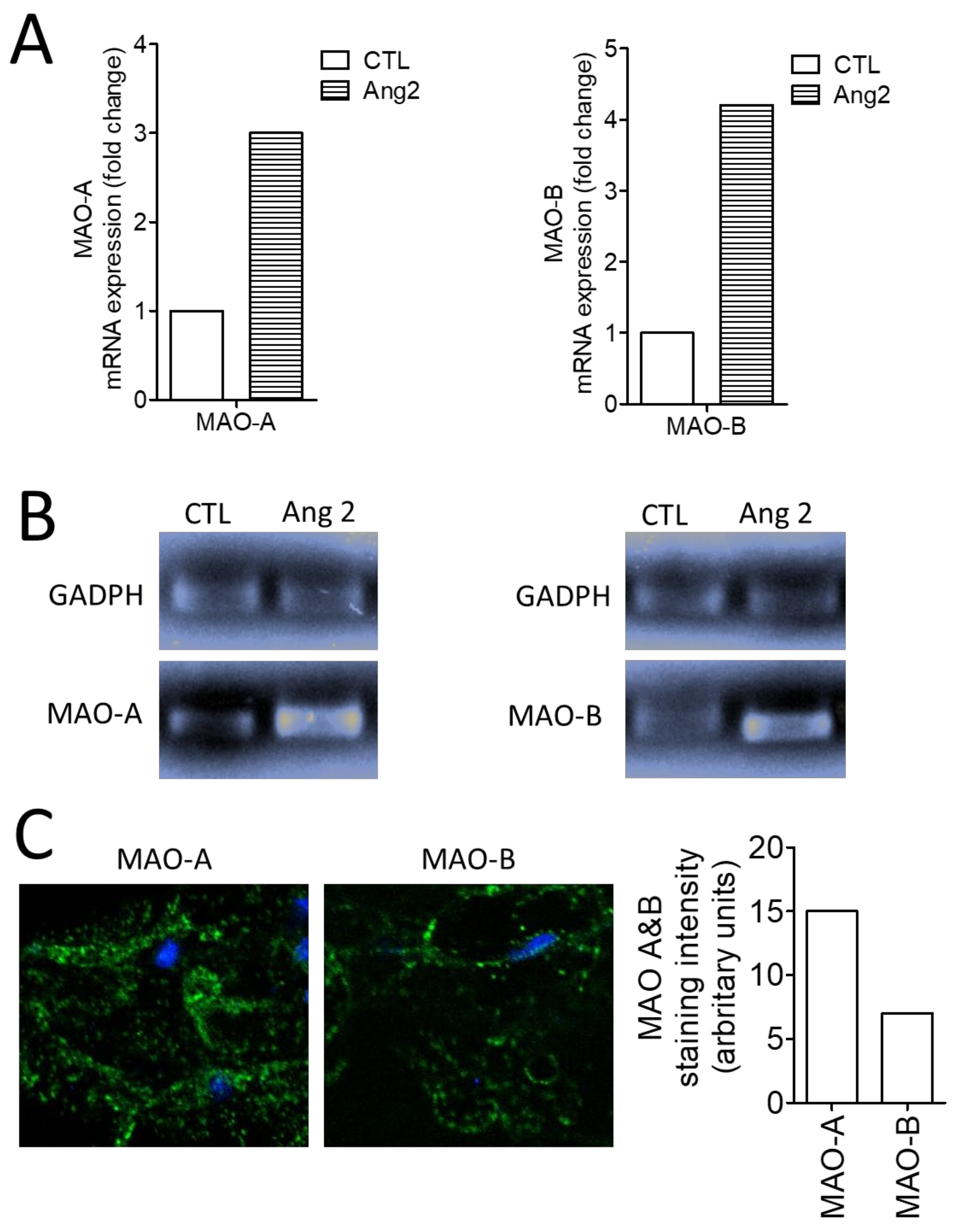 Medicina 58 01844 g003