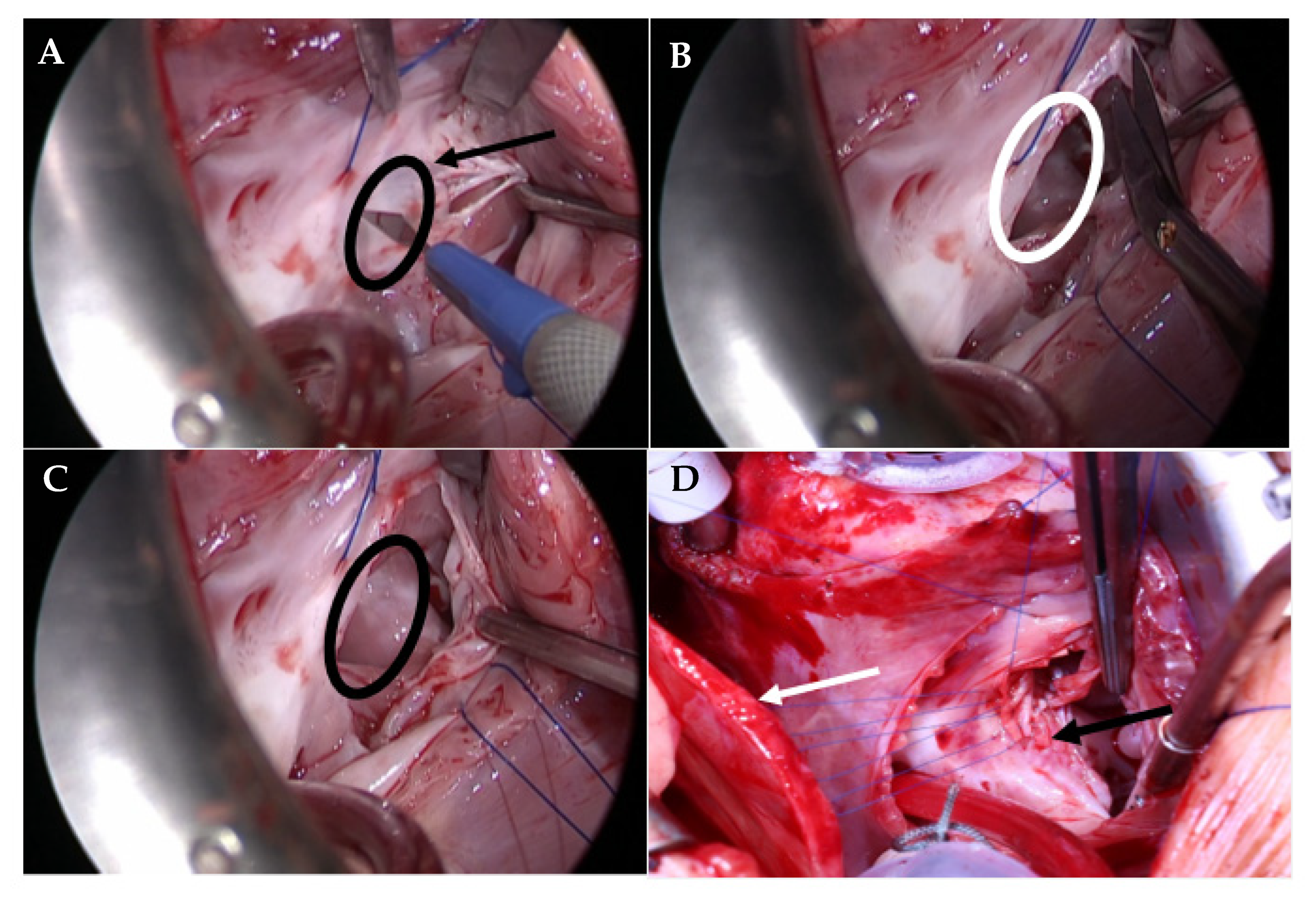 Medicina 58 01849 g002