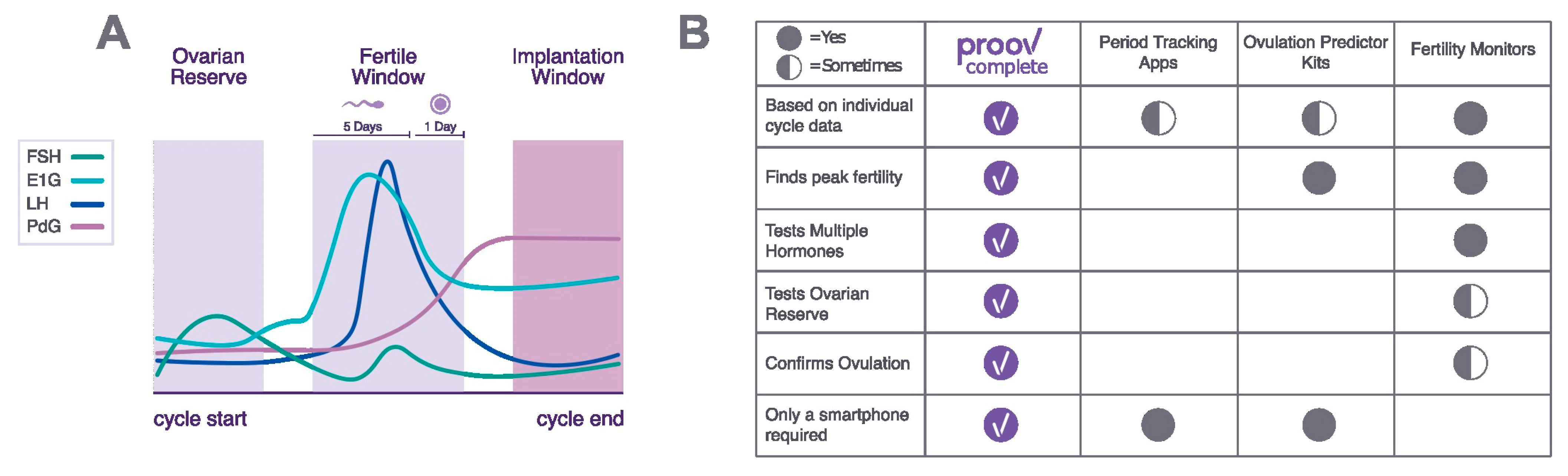 Ovulation Test Strips: How to Use Them to Detect Fertility