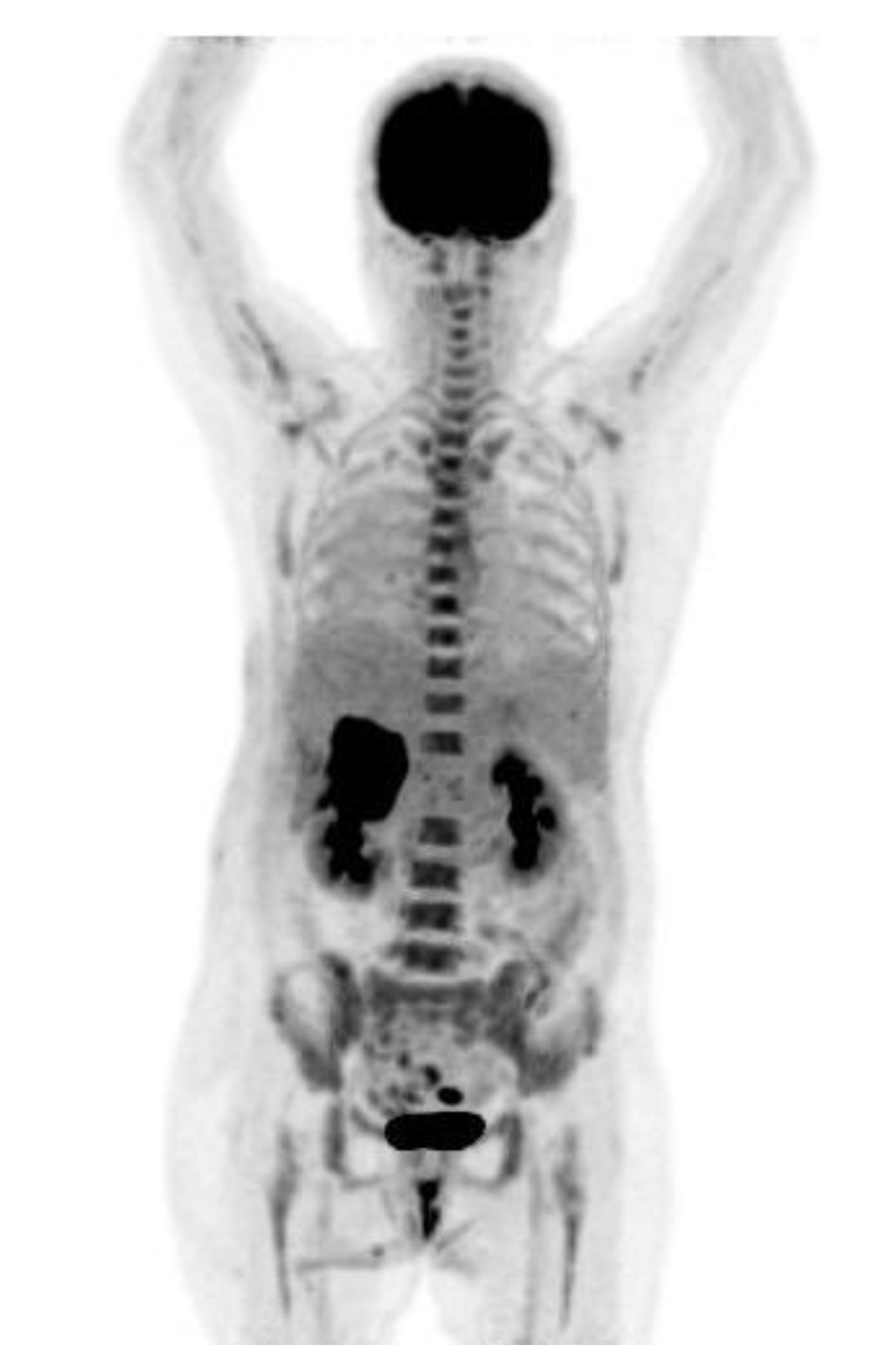 Medicina 58 01864 g002 Medicina 58 01864 g002