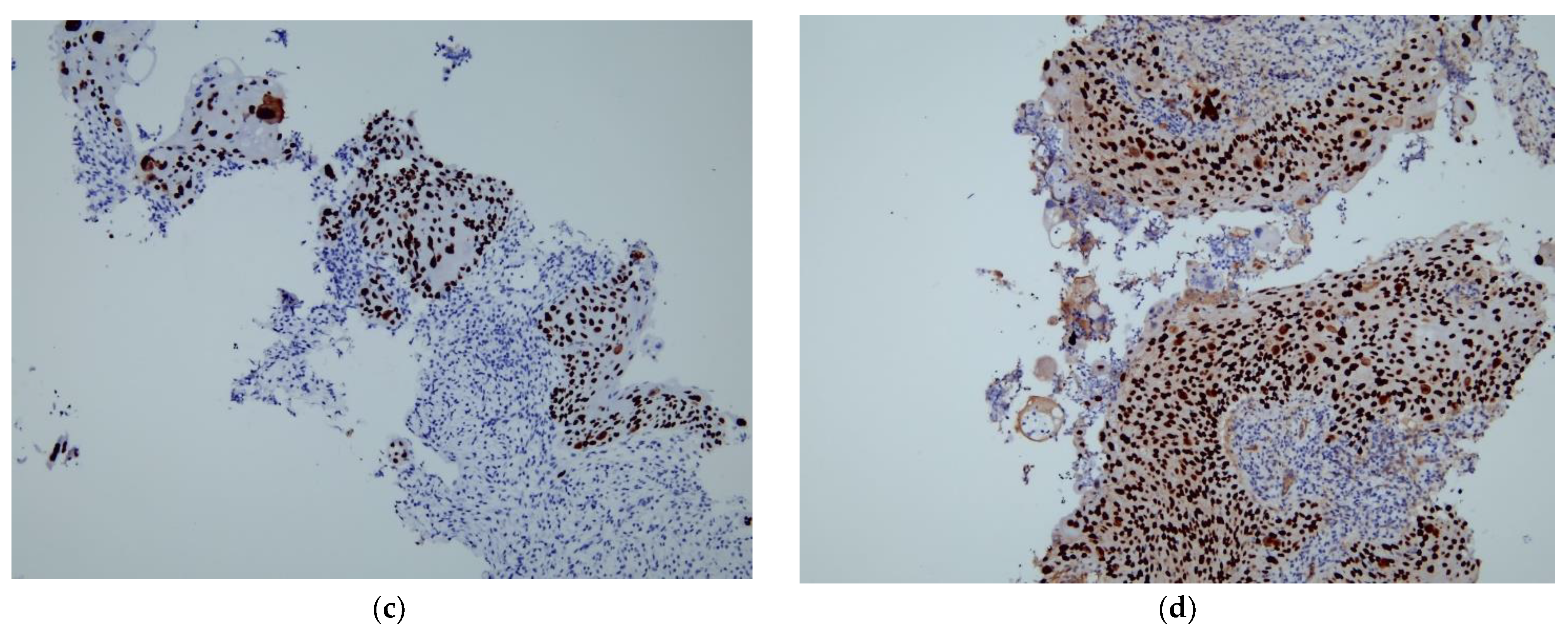 Medicina 58 01864 g003b Medicina 58 01864 g003b